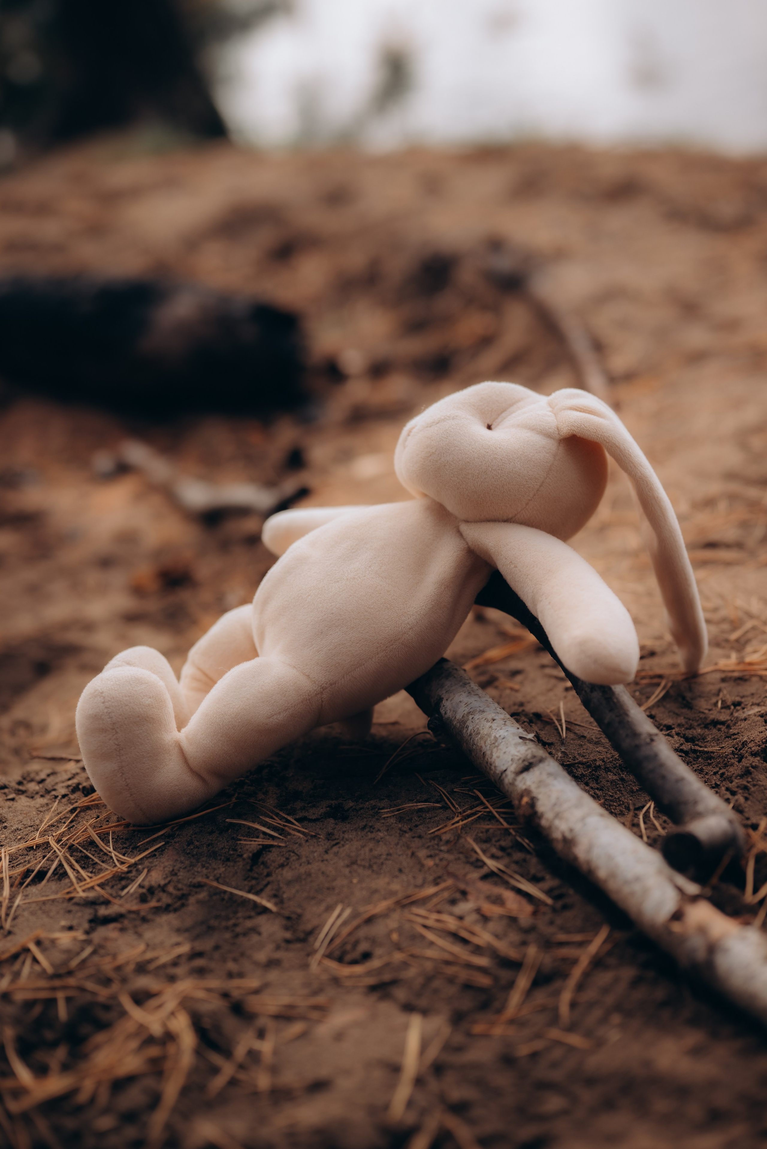 Катя, Максим, Олеся, Алёна, Ксюша и Серёжа. Семейный фотограф в Москве Дарья Пузикова