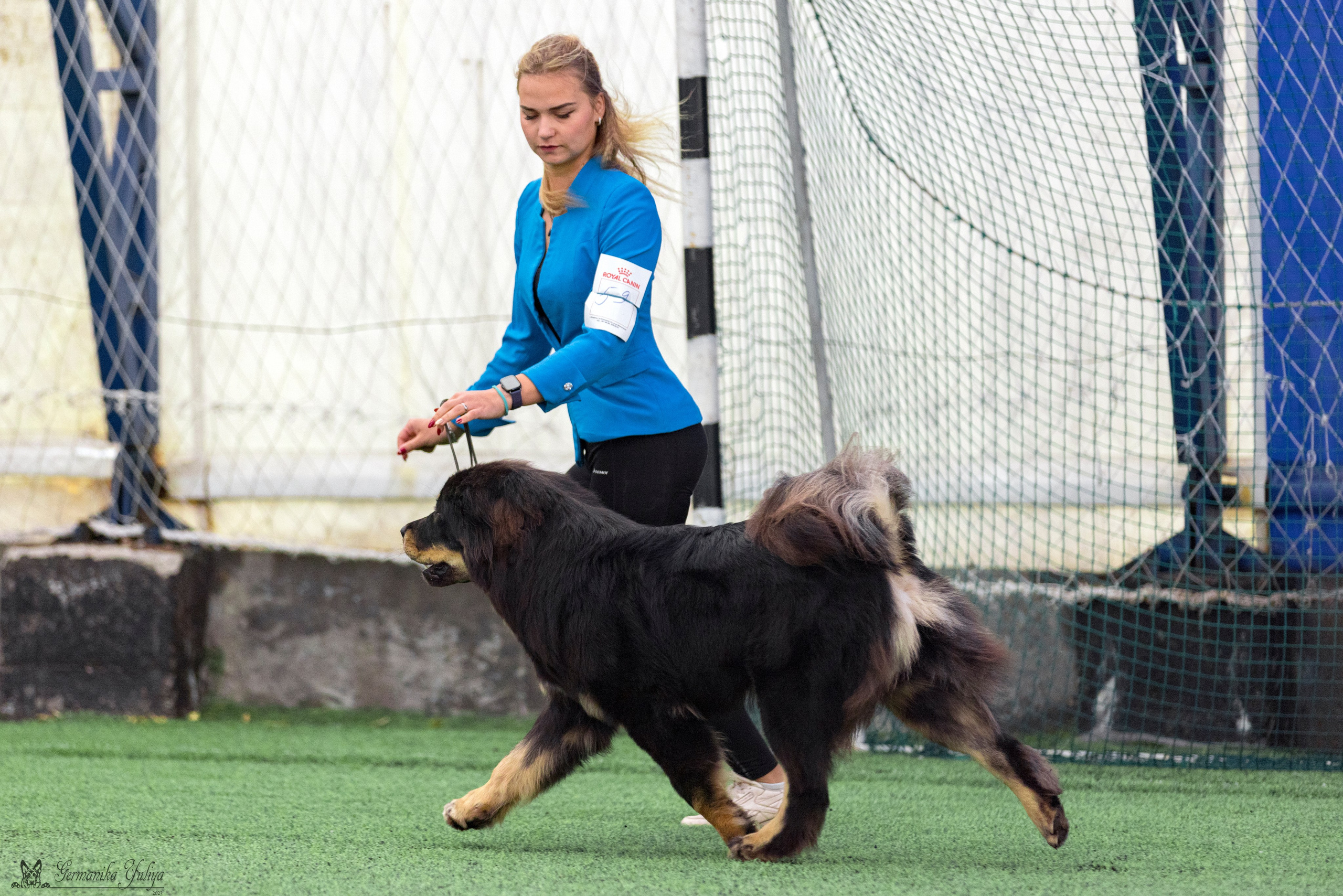 Ташкент 6-8.10.2023 + Алматы 14-15.10.2023. Фотограф-анималист Юлия Германика