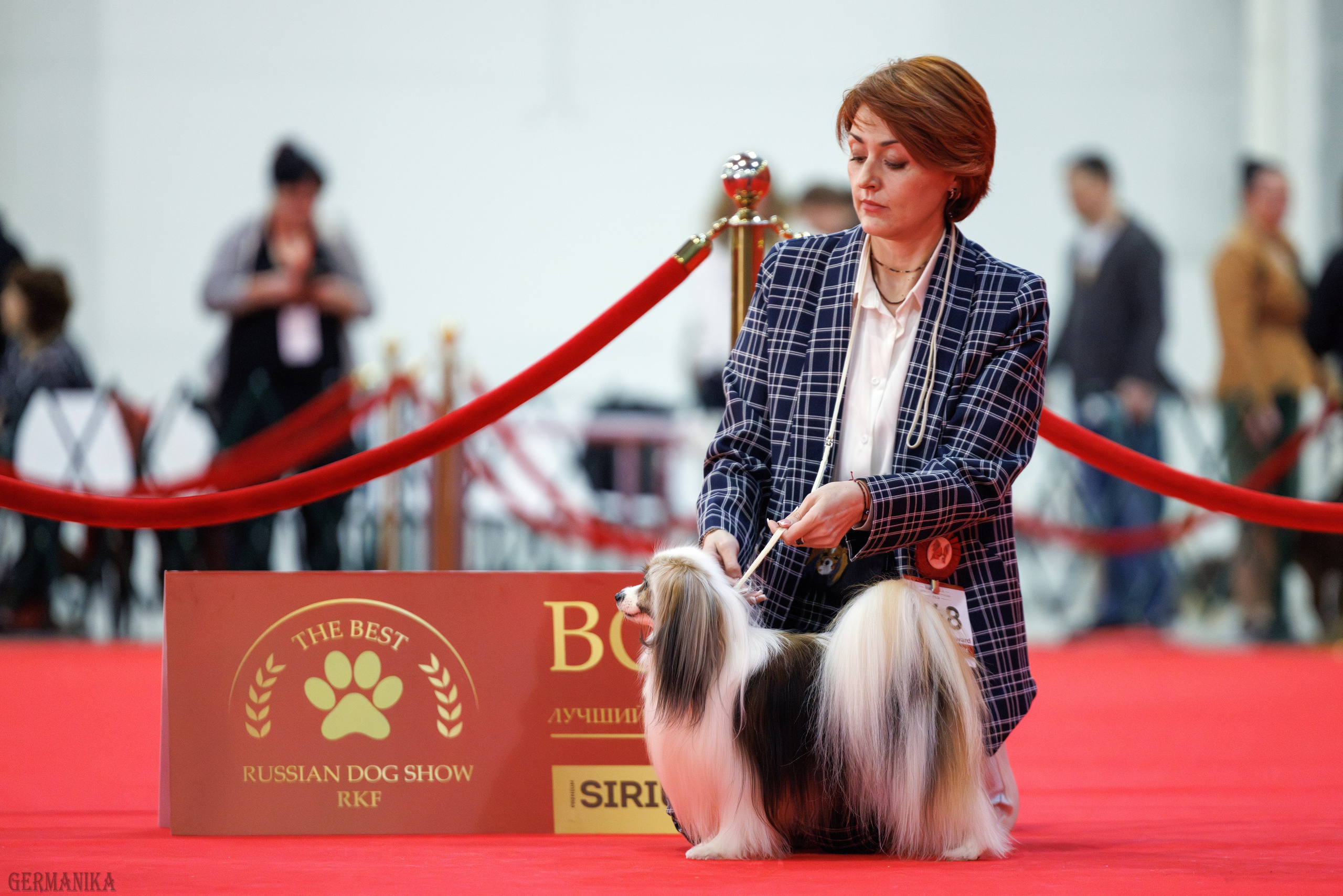 Лучшие Собаки России 17-18.02.2024. Фотограф-анималист Юлия Германика