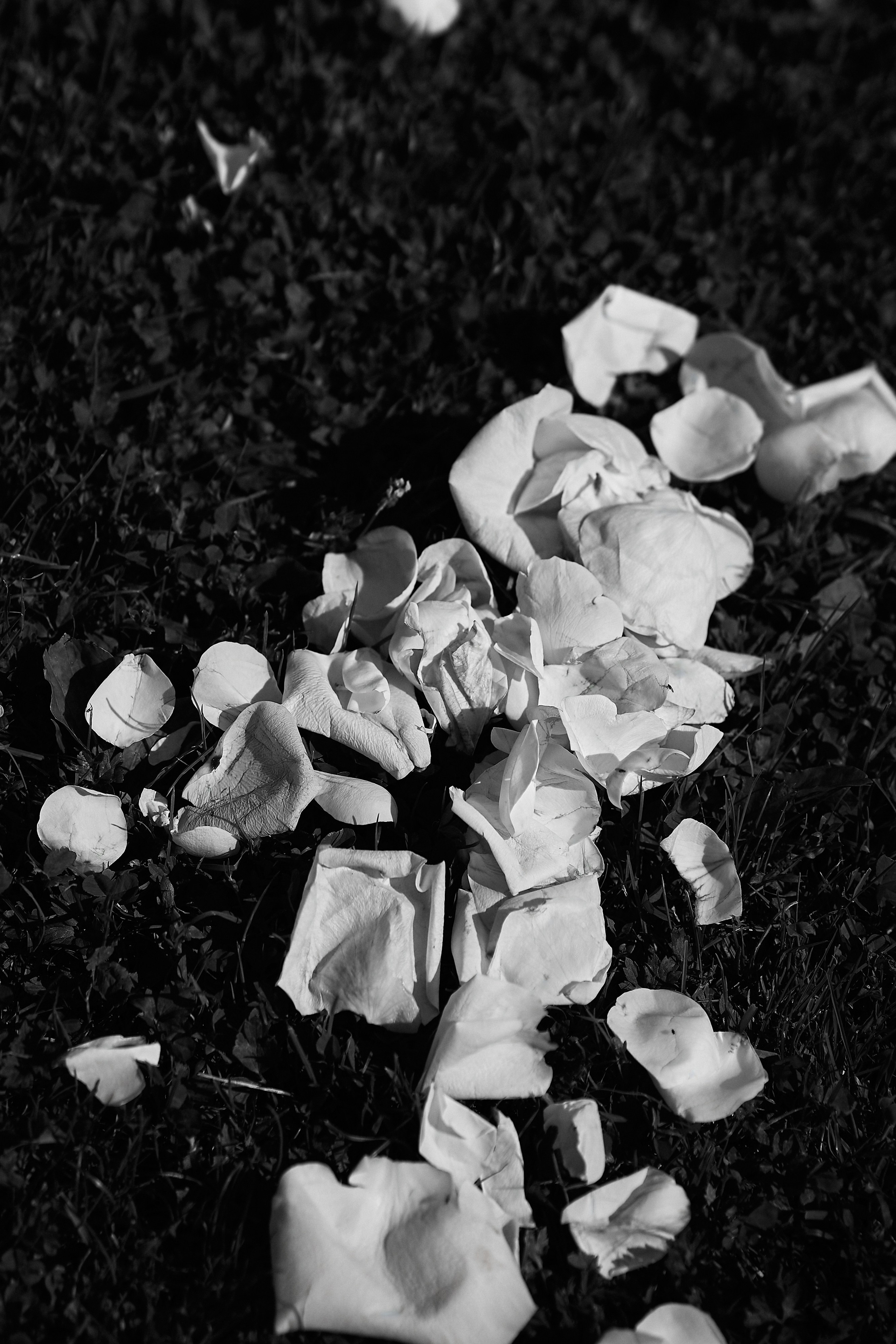 Виталий и Диана. Свадебный фотограф Минск РБ