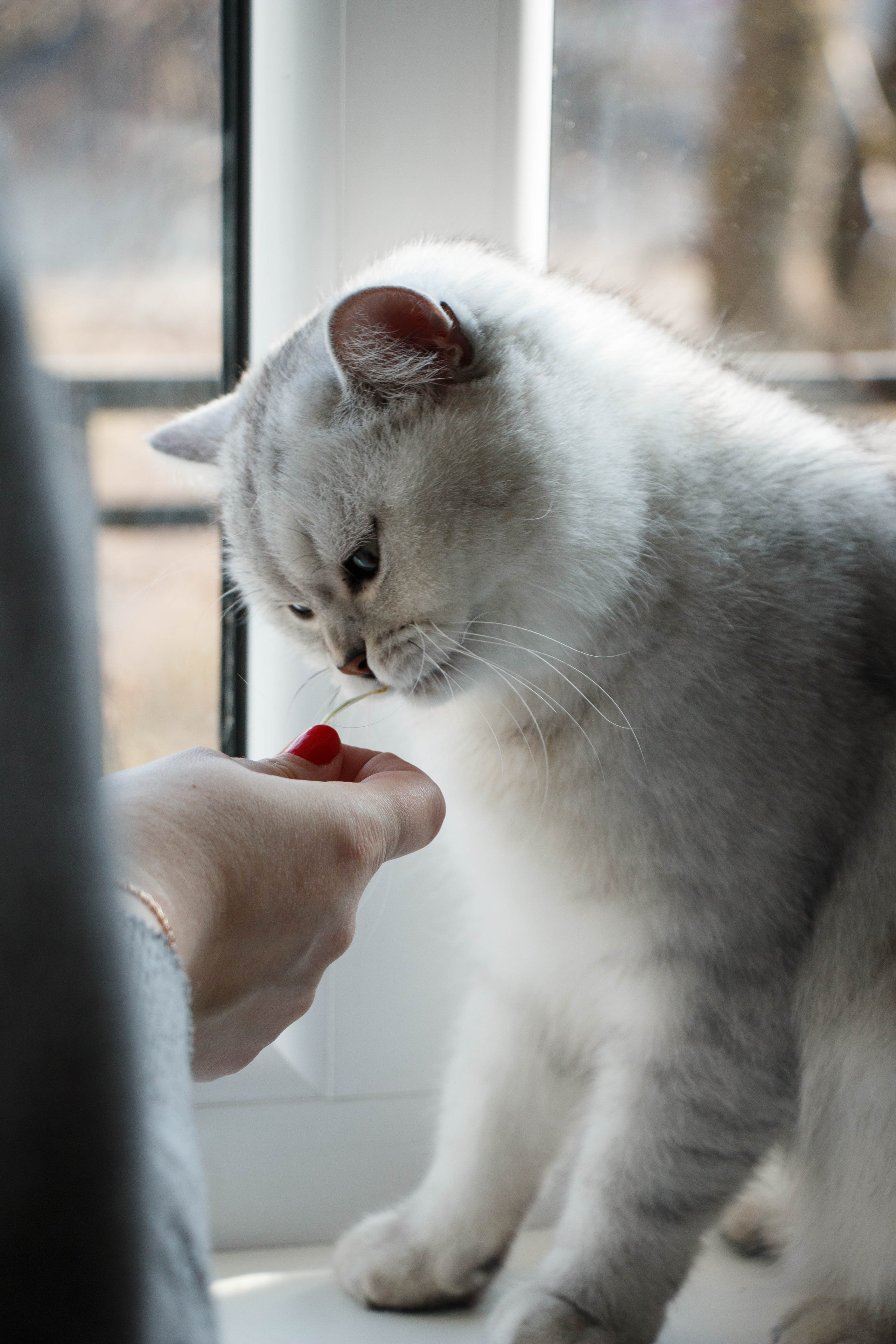 NASTYA & KITTI. Бережно сохраняю ваши чувства и истории на своих фотографиях