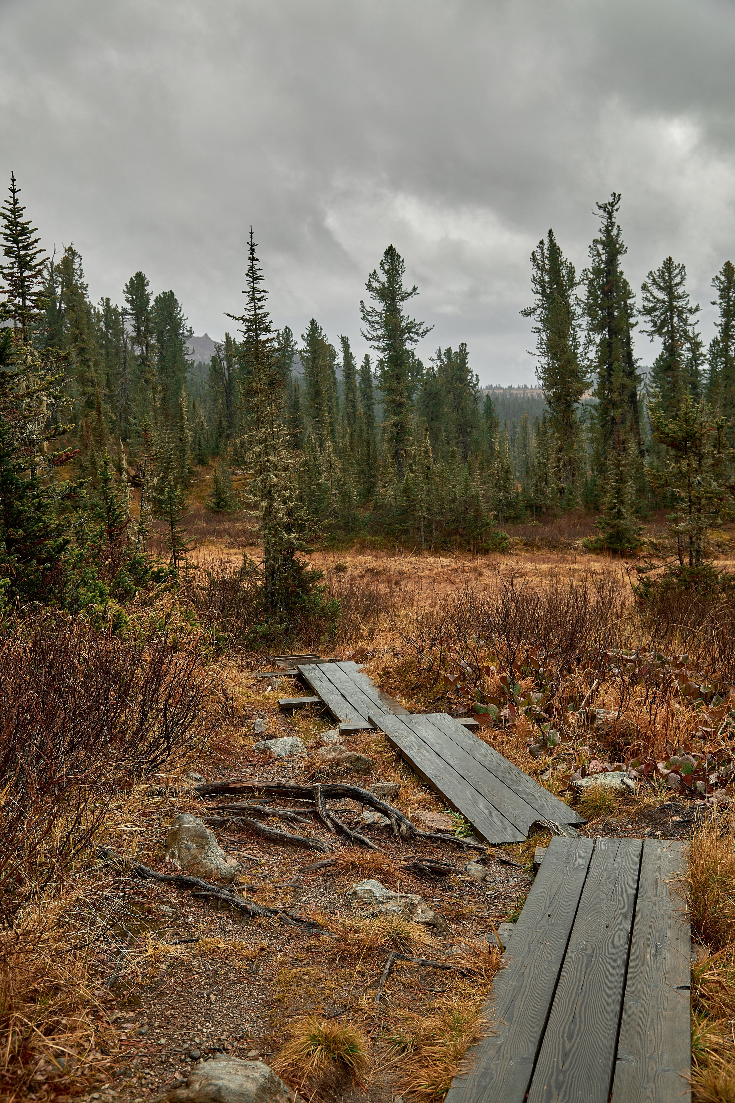 Ергаки (2022-23). Фотограф ваших событий в Красноярске — Макс Захарченко
