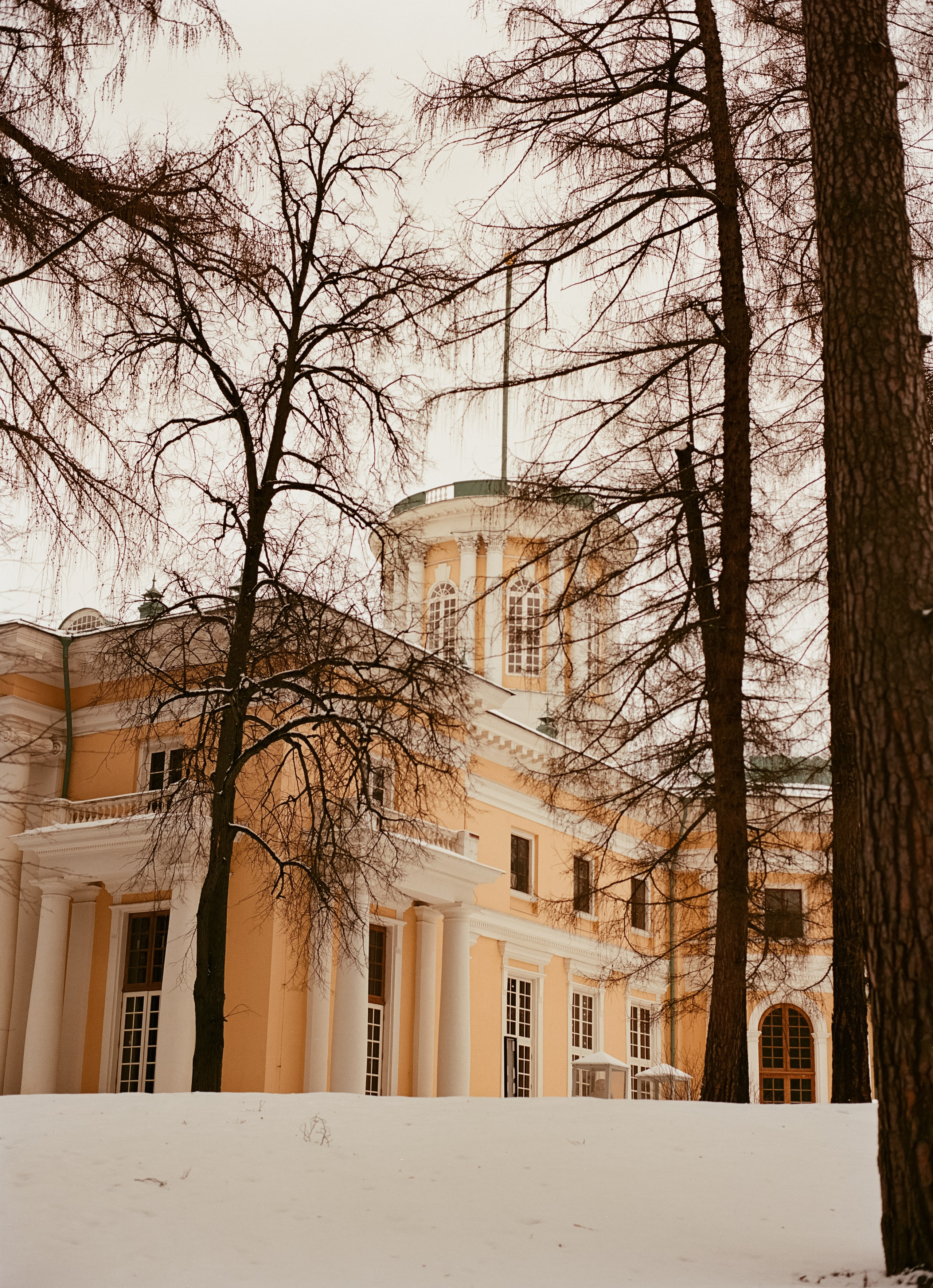 Aeronega ISO 100 (Aerocolor IV)