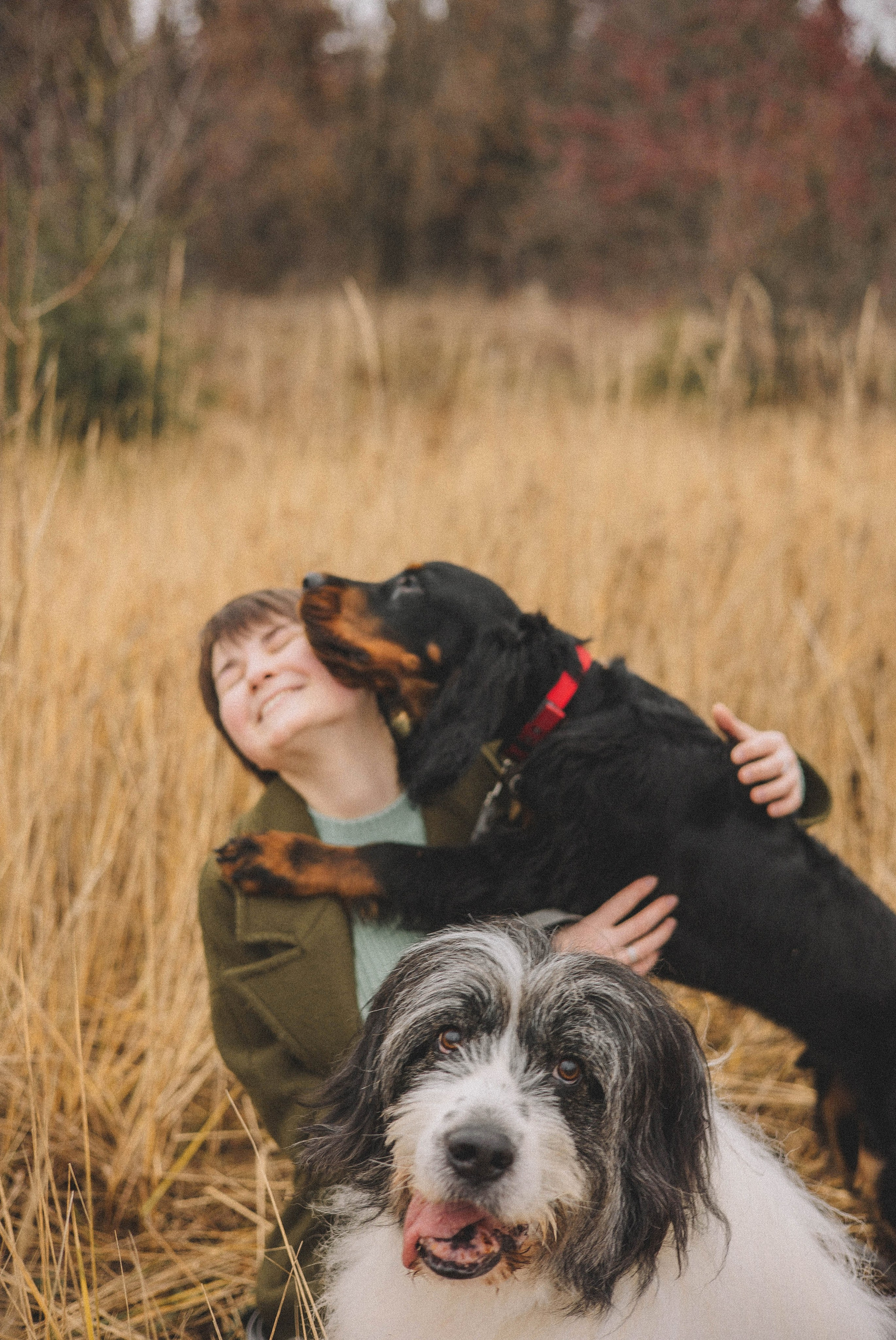 Даша, Глеб, Барс и Бруно. Фотограф-анималист Богданова Полина