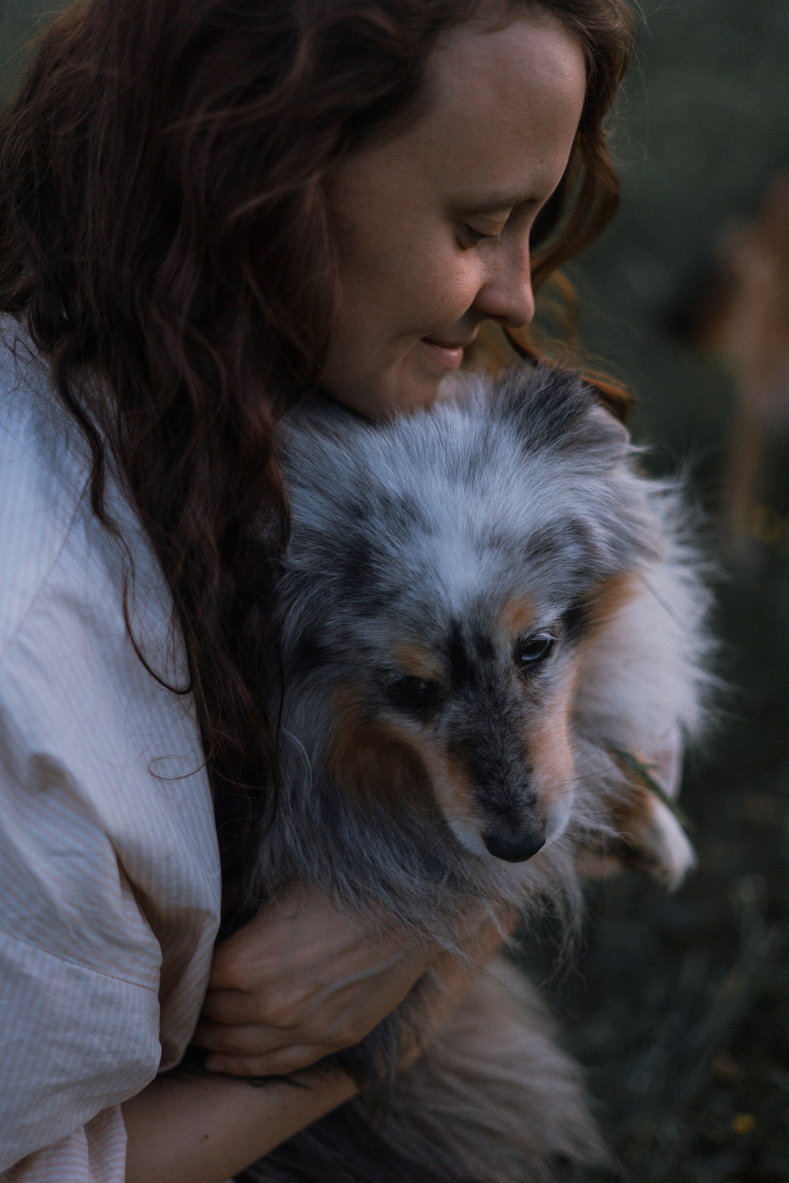 Настя, Шуня, Милка и Тигуан. Фотограф-анималист Богданова Полина