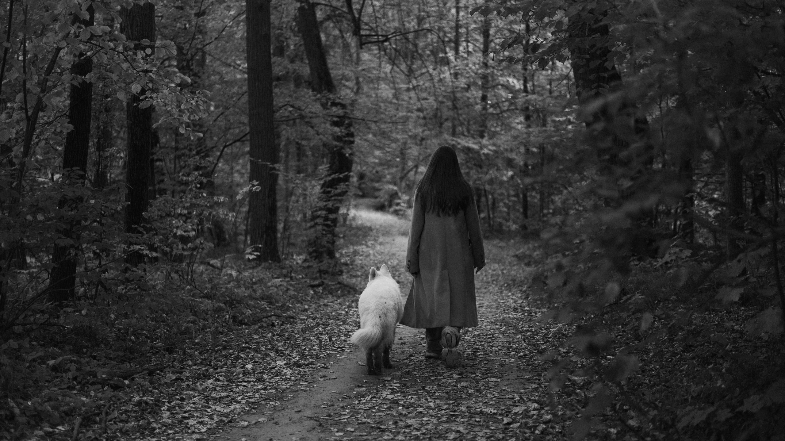 Вика и Уля. Фотограф-анималист Богданова Полина