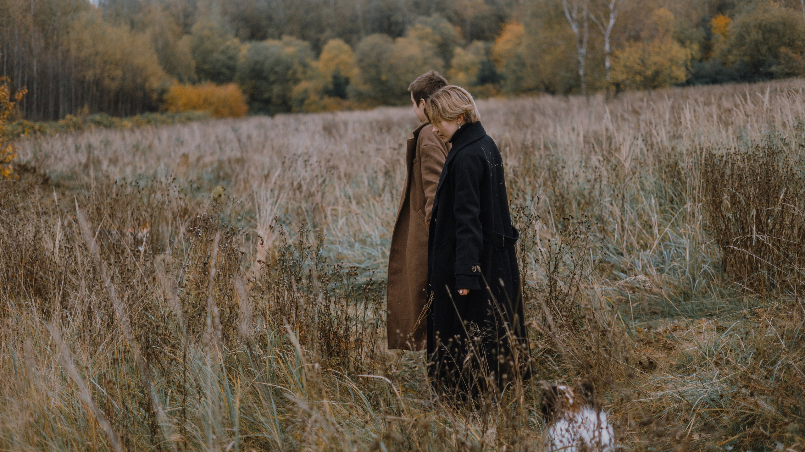 Маша, Катя, Астрид и Мася. Фотограф-анималист Богданова Полина