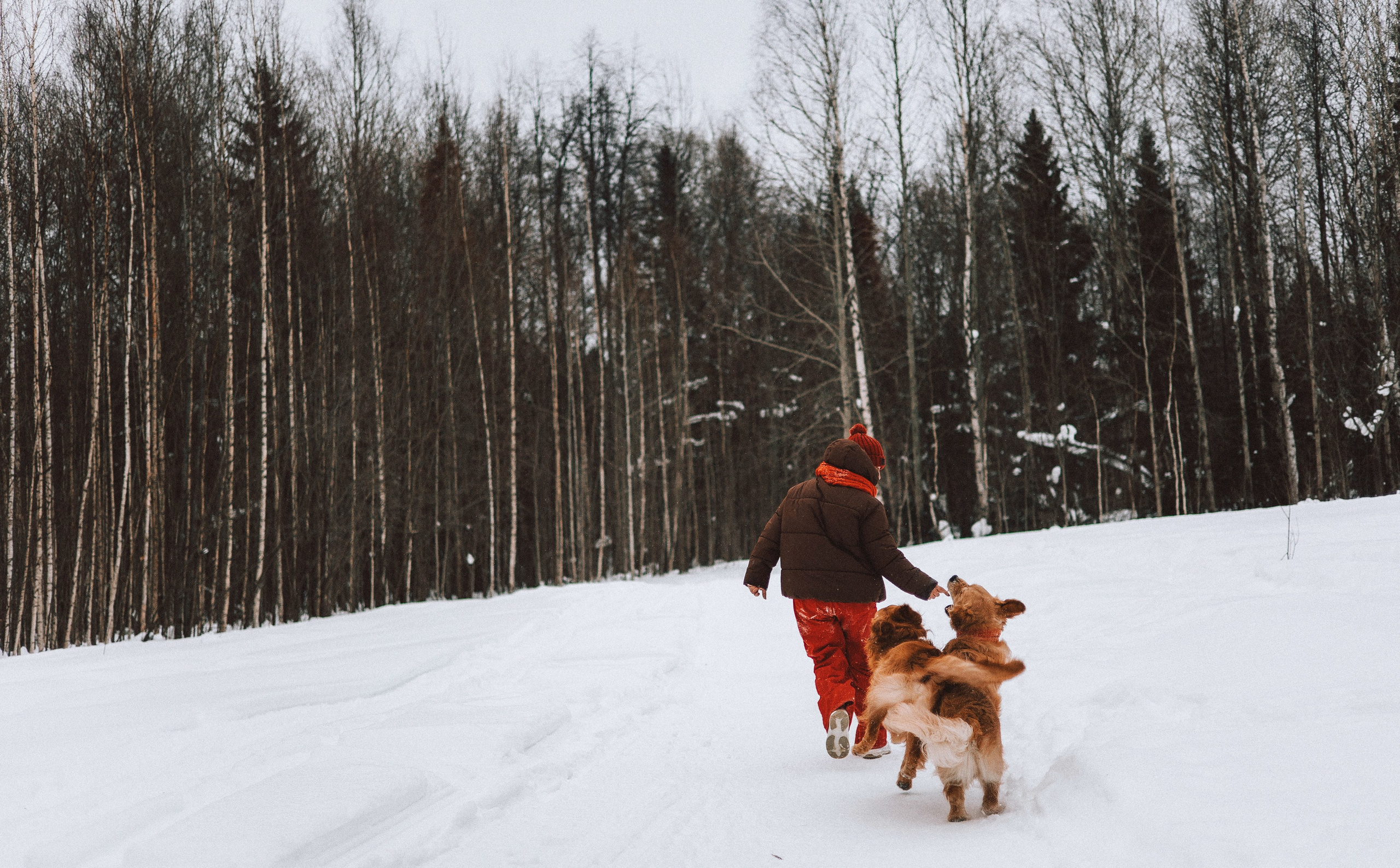 Саша, Юля, Грэй и Джой. Фотограф-анималист Богданова Полина