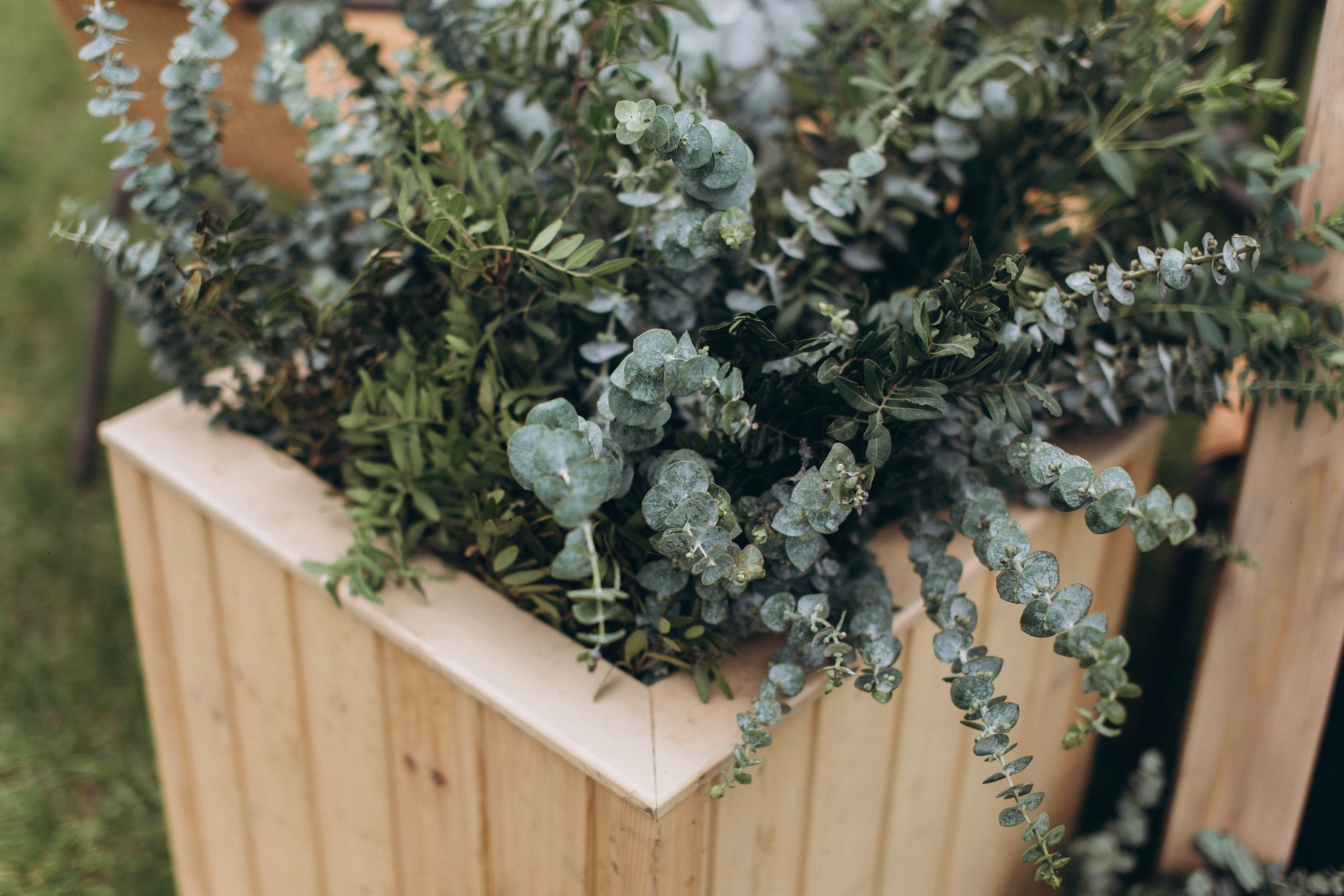 Евгений и Марта. Профессиональная видео и фото съёмка в Калуге и области