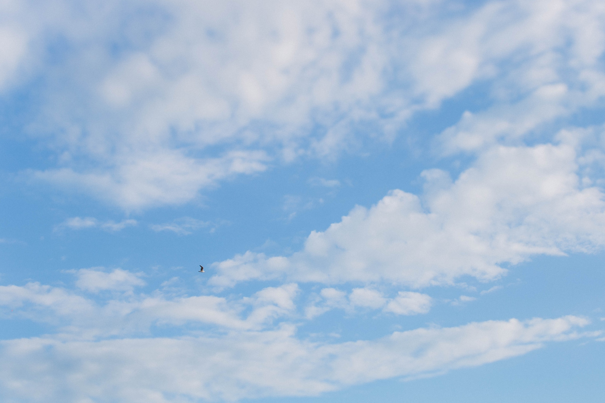 Евгений и Марта. Профессиональная видео и фото съёмка в Калуге и области