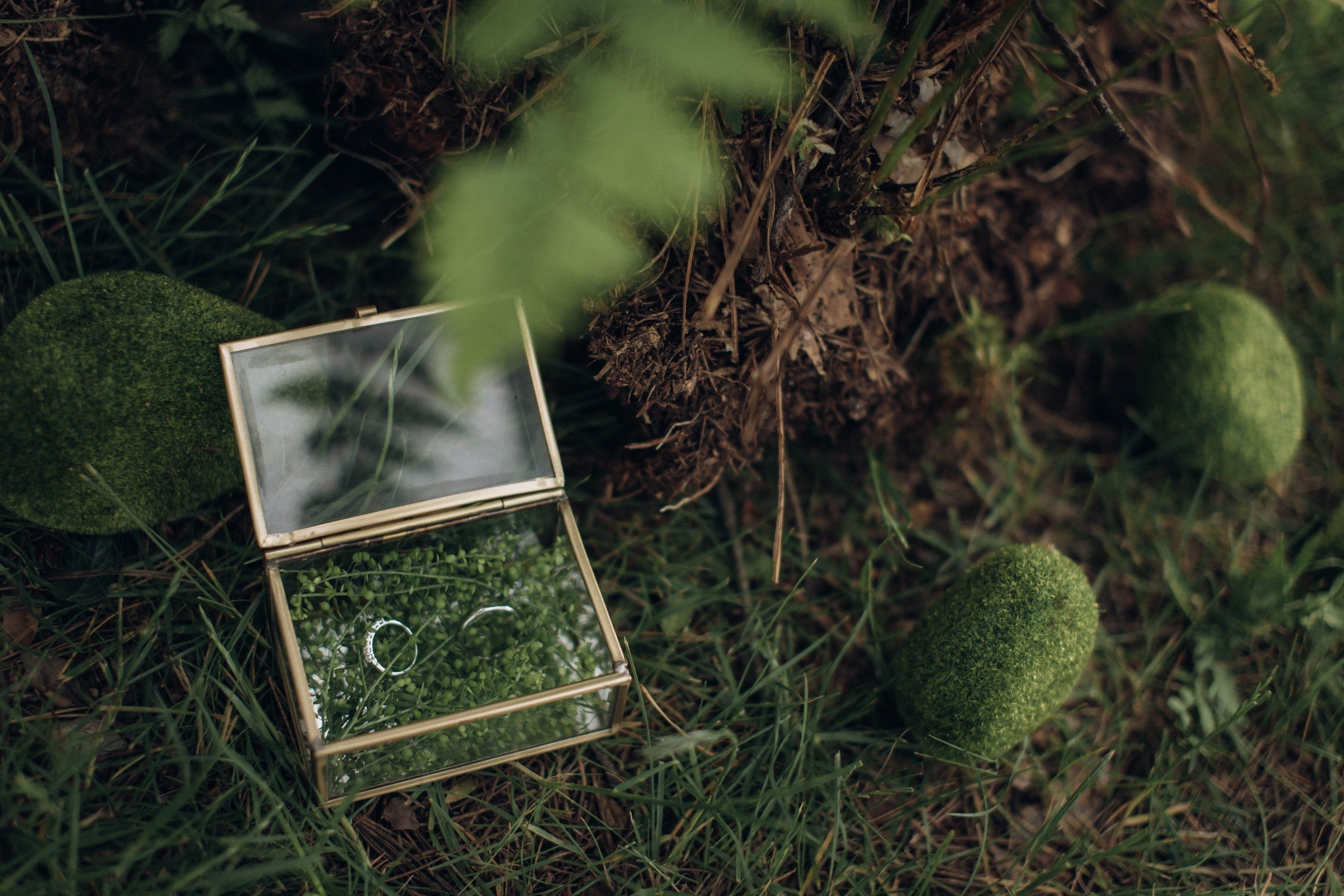 Евгений и Марта. Профессиональная видео и фото съёмка в Калуге и области