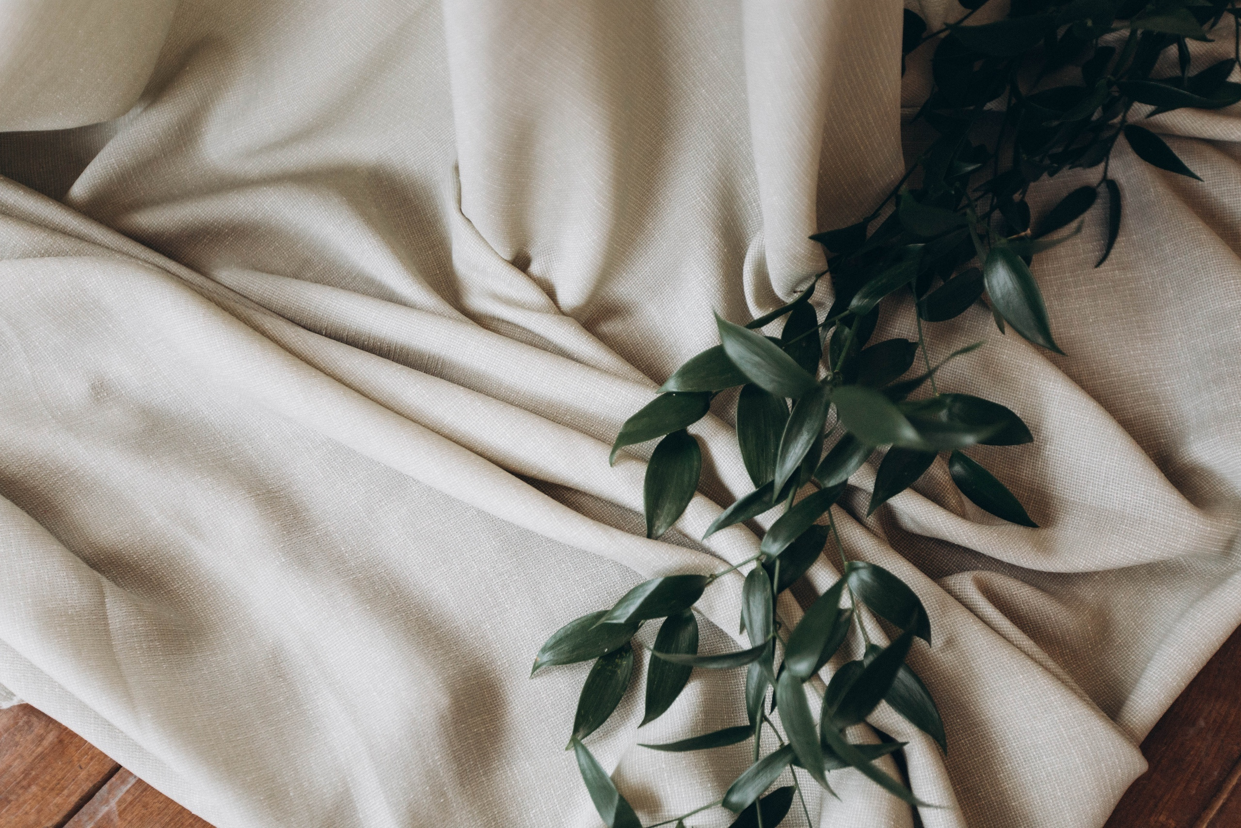 Евгений и Марта. Профессиональная видео и фото съёмка в Калуге и области