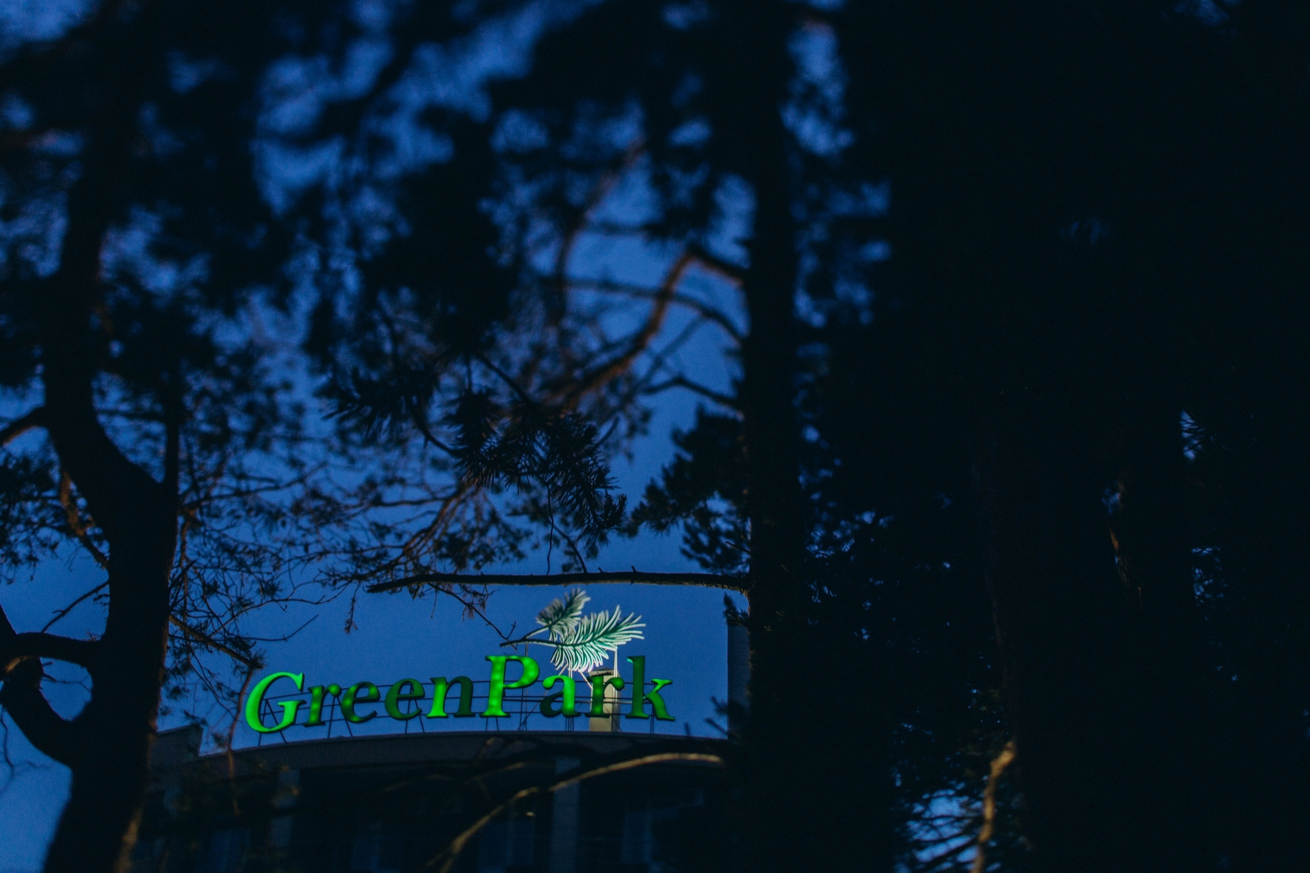 Евгений и Марта. Профессиональная видео и фото съёмка в Калуге и области