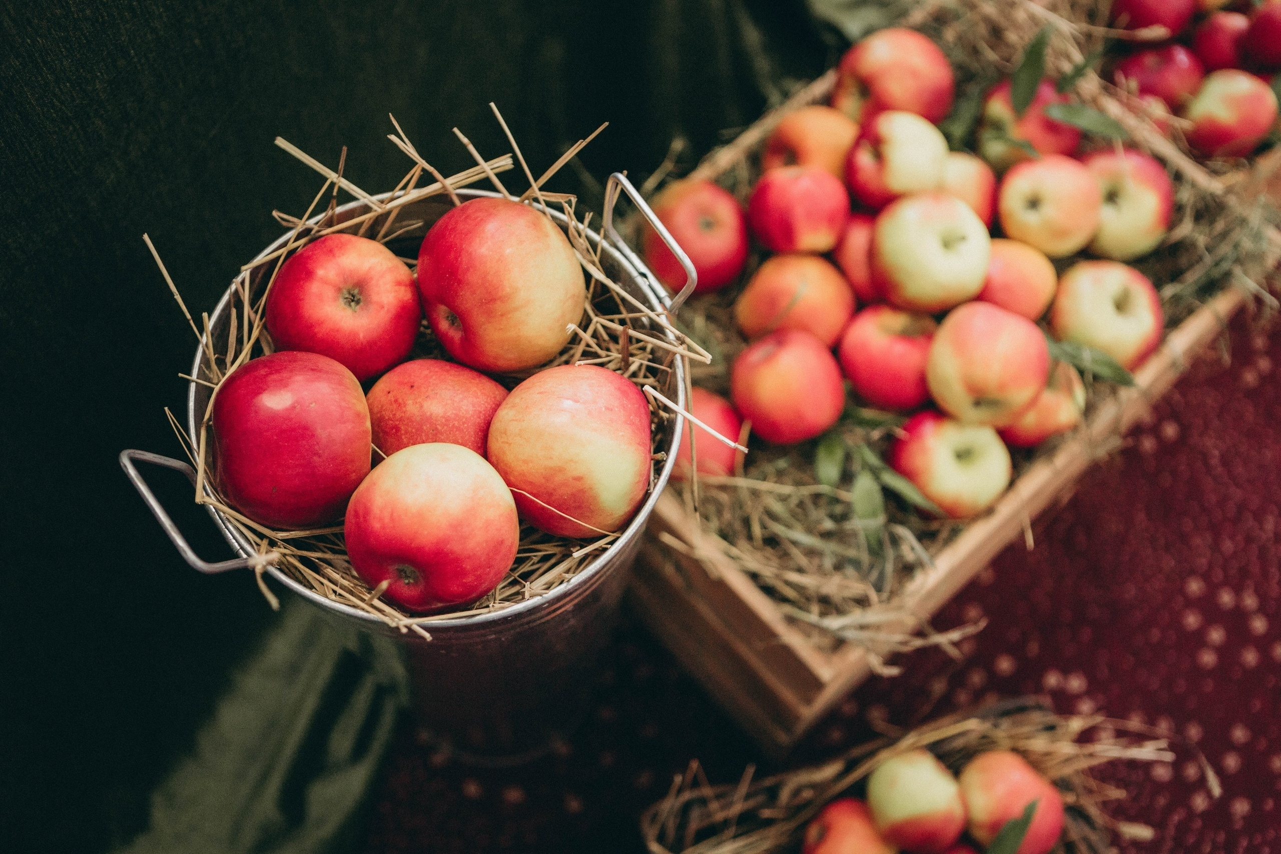Александр и Мария. Профессиональная видео и фото съёмка в Калуге и области