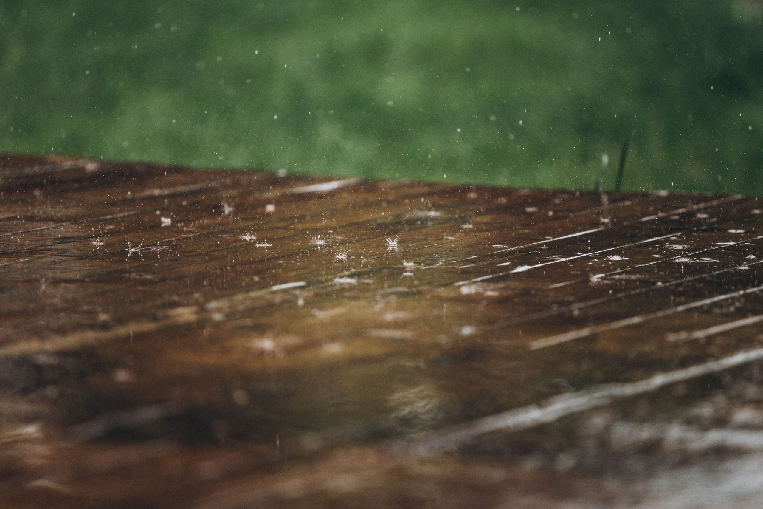 Евгений и Марта. Профессиональная видео и фото съёмка в Калуге и области