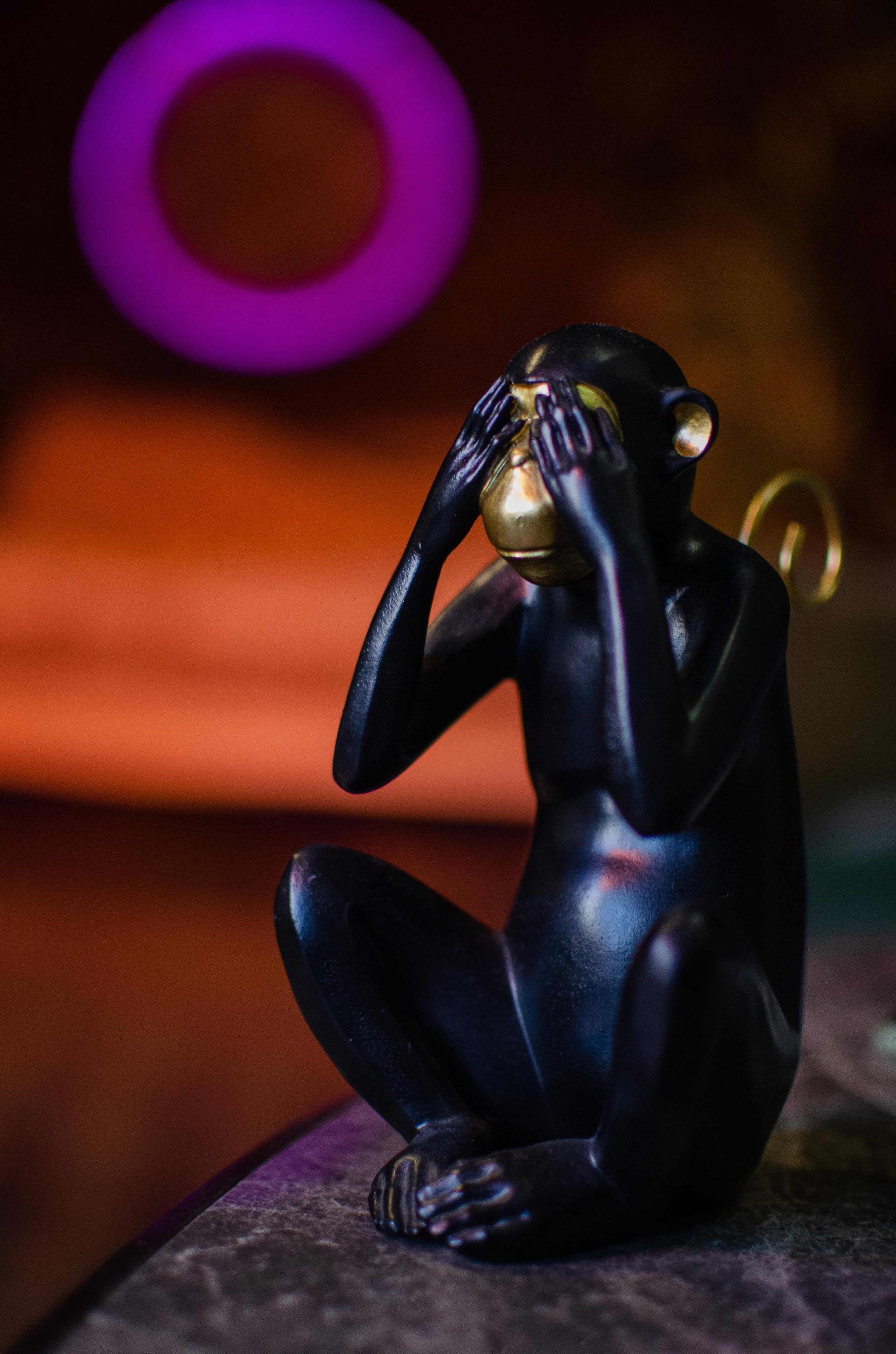 Елизавета — Коуч по проявленности. Портретный фотограф в Санкт-Петербурге Аласкарова Алессия