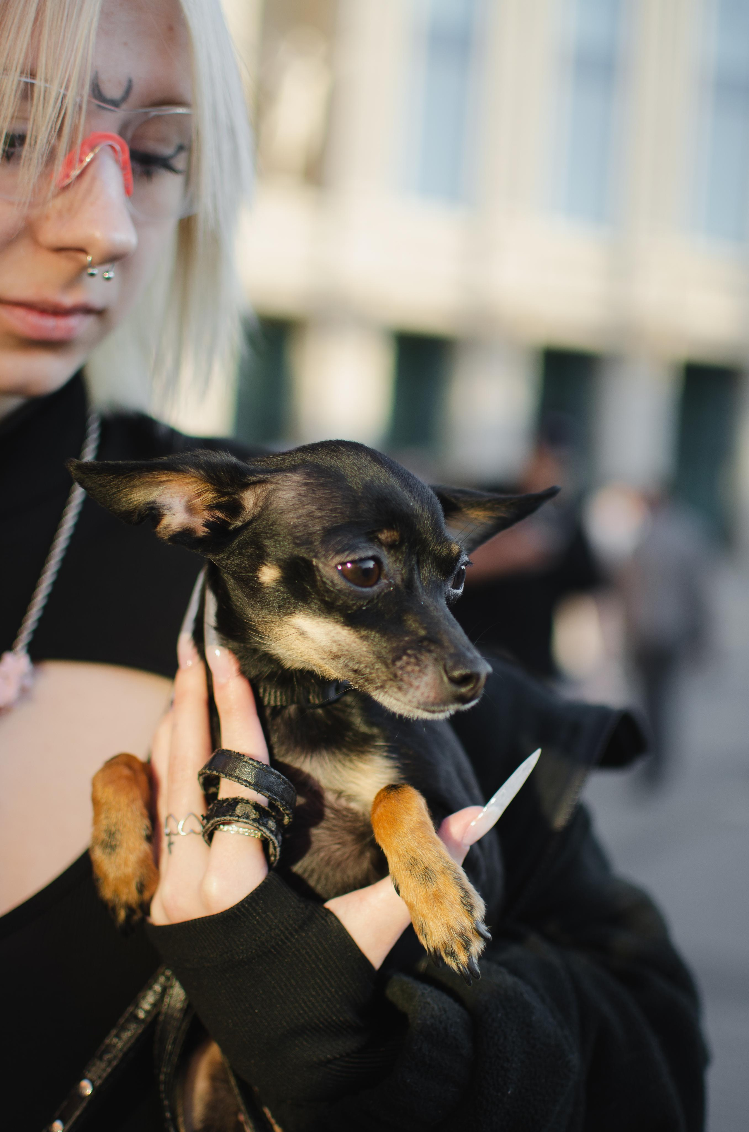Ночь музеев 2023. Портретный фотограф в Санкт-Петербурге Аласкарова Алессия