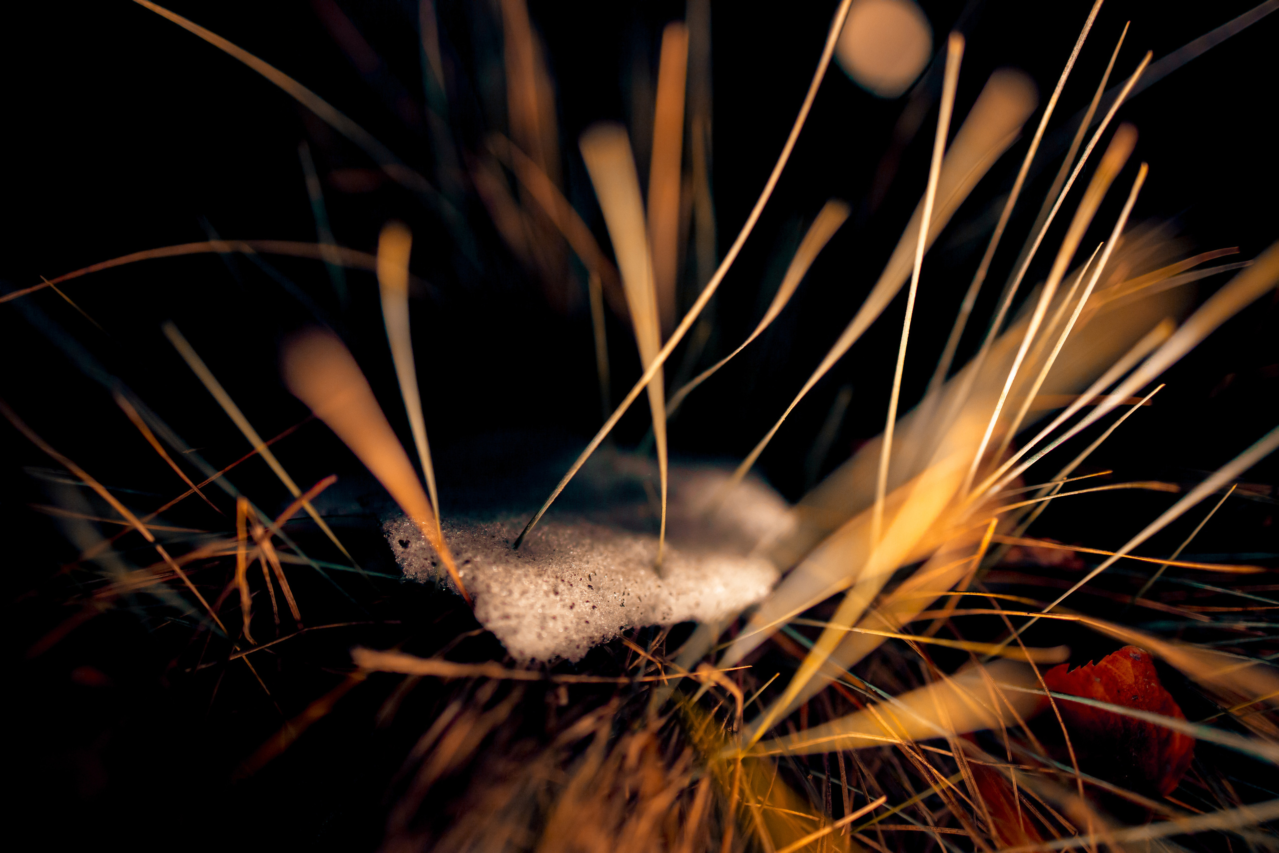 Street и путешествия