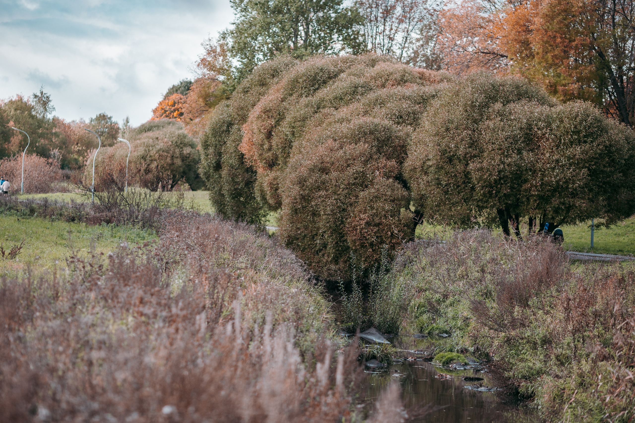 Street и путешествия