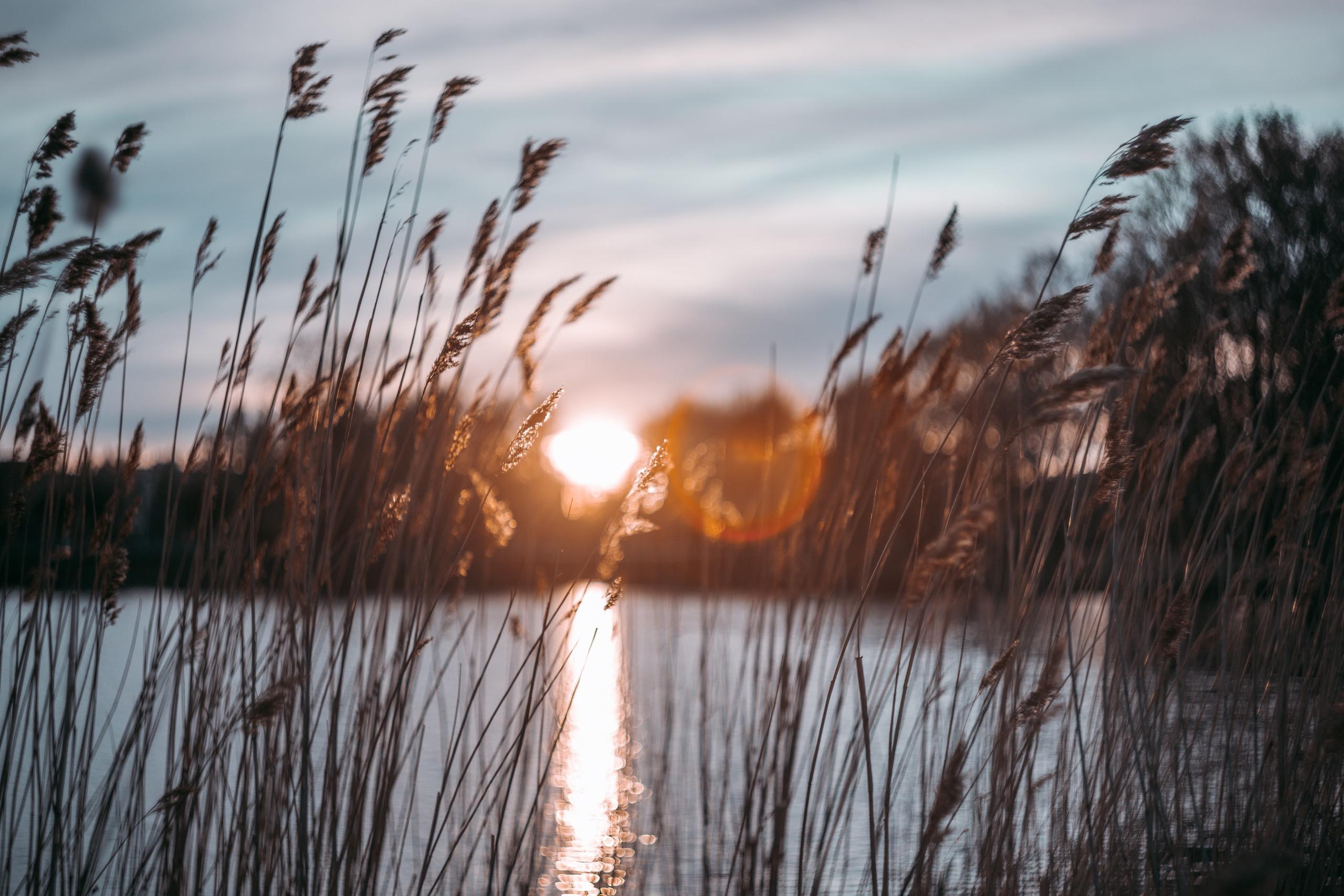 Street и путешествия