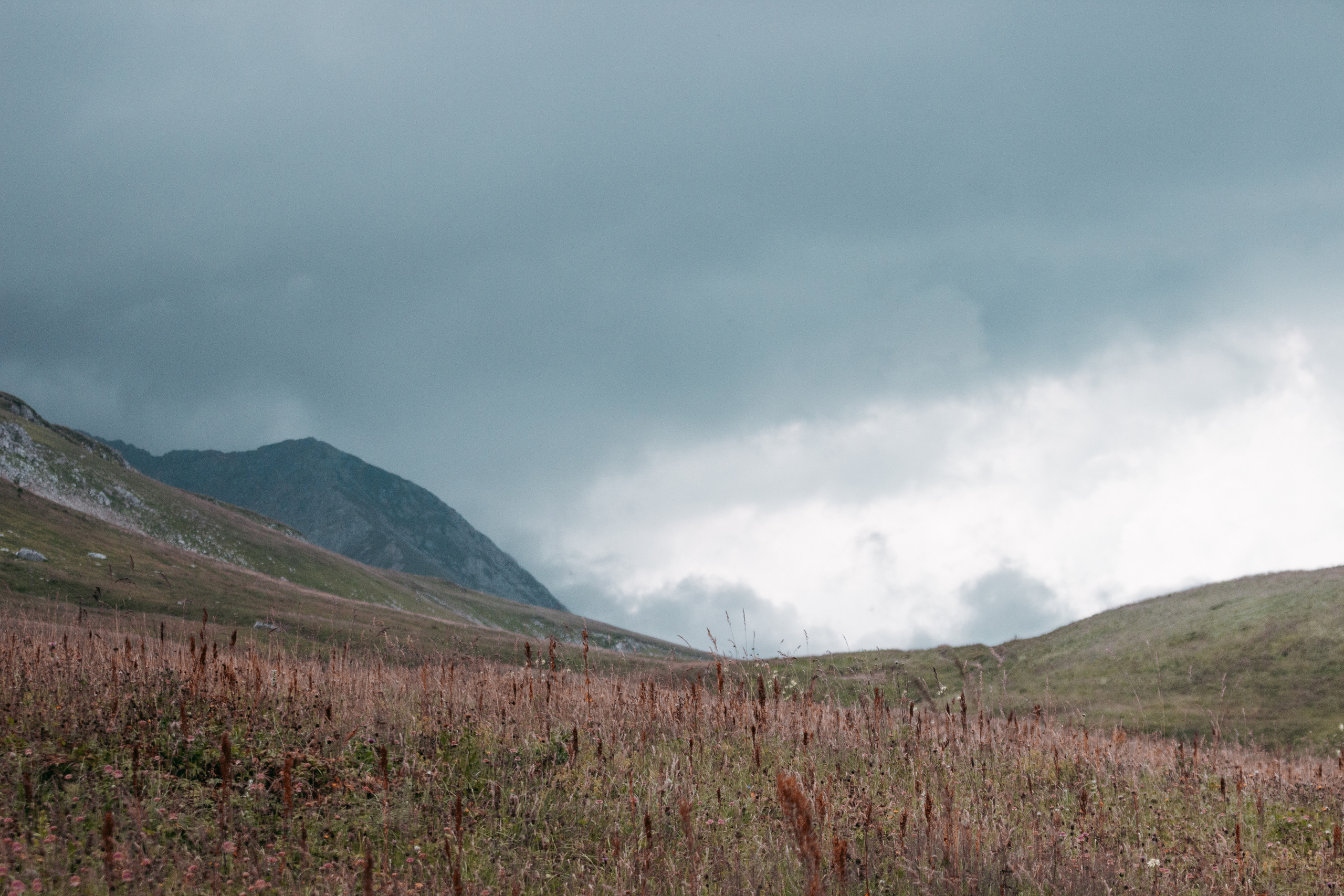 Street и путешествия