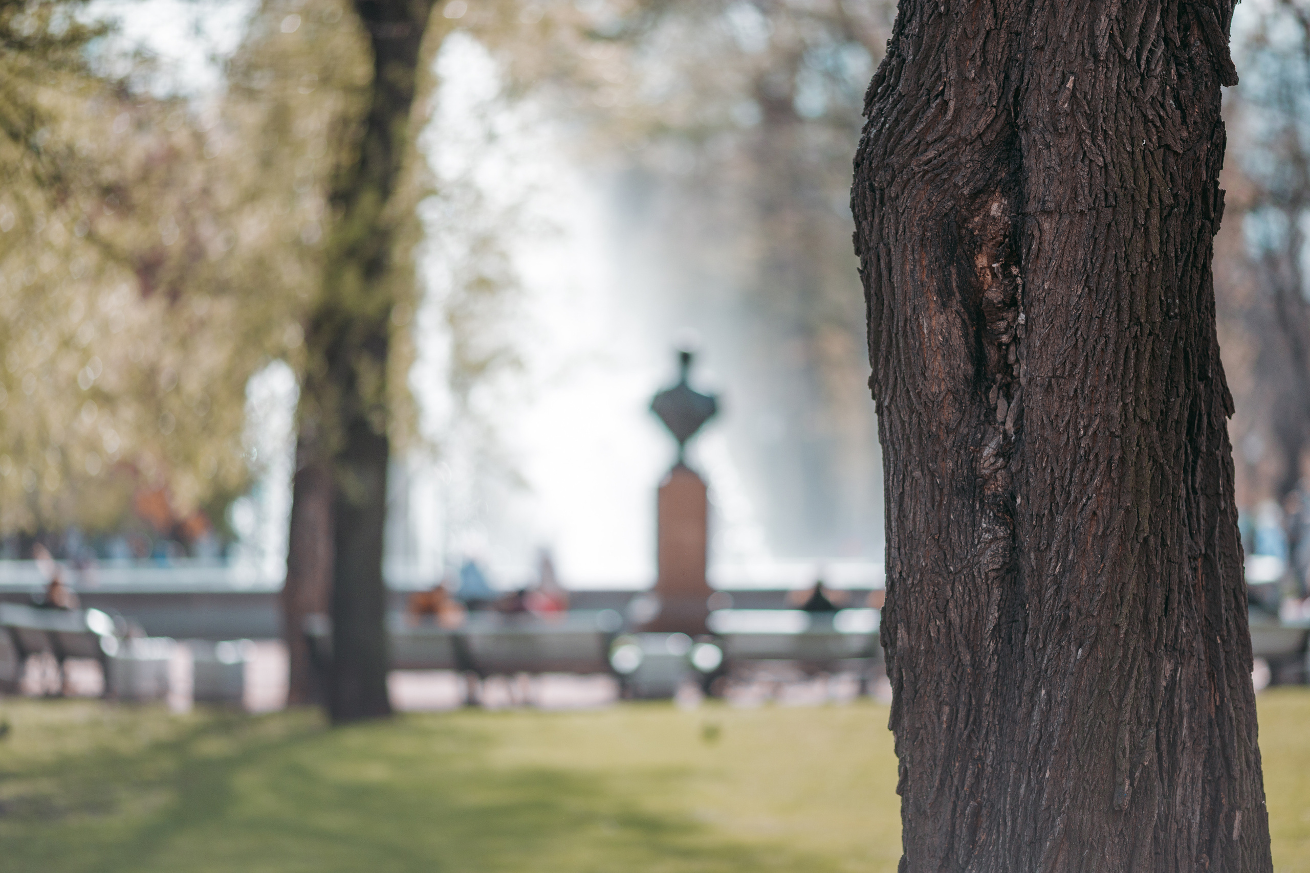 Street и путешествия