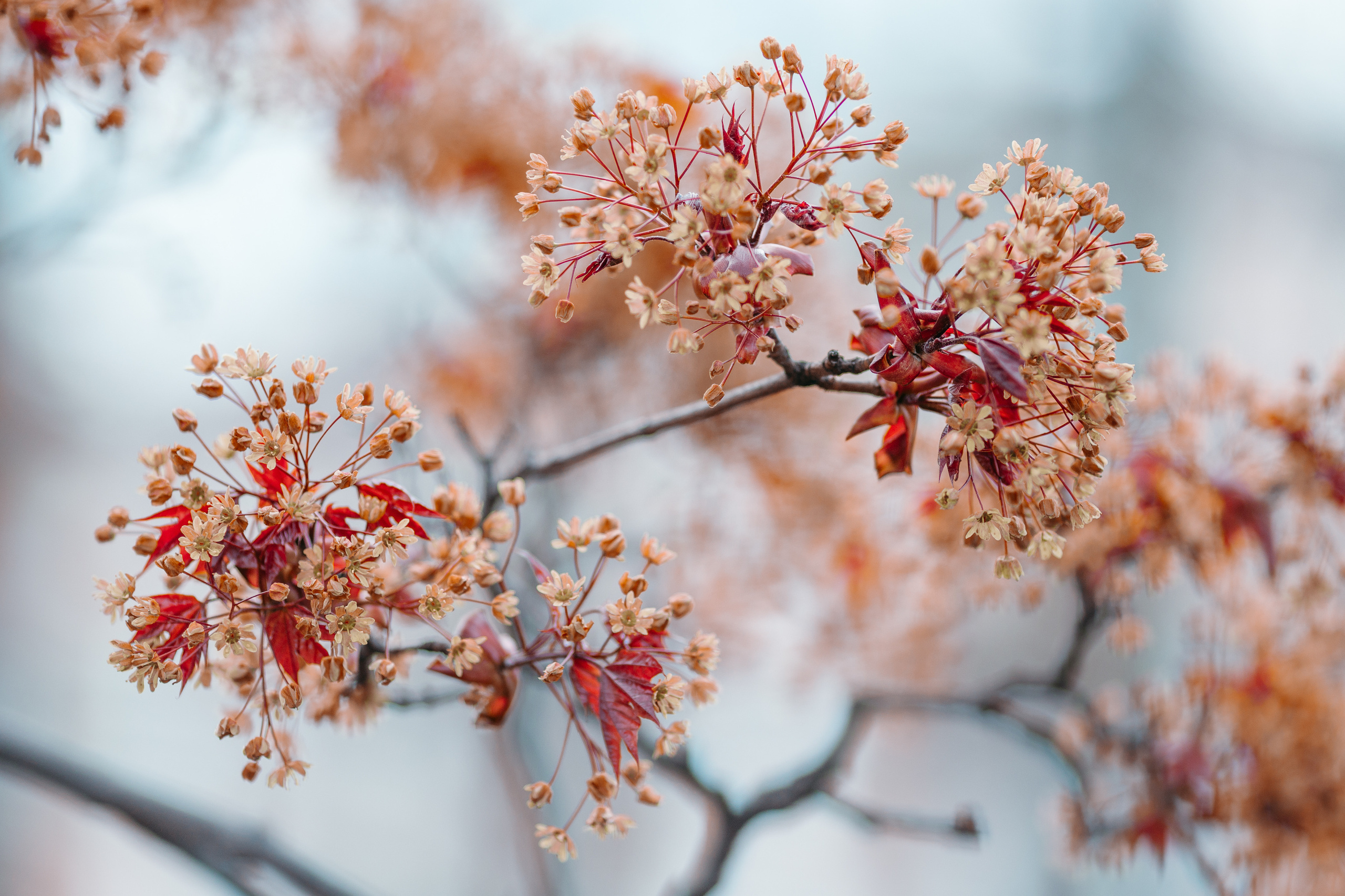 Street и путешествия