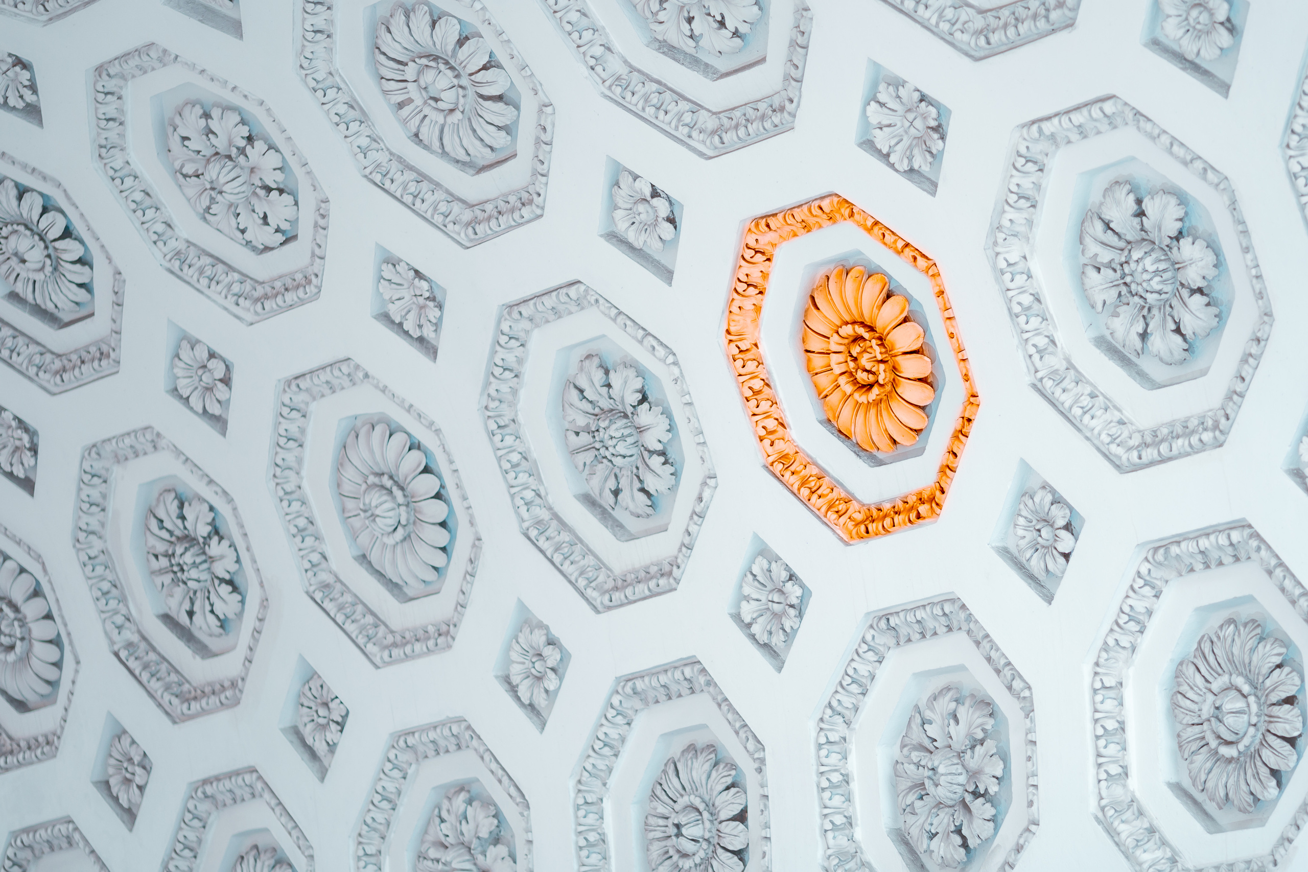 Street и путешествия