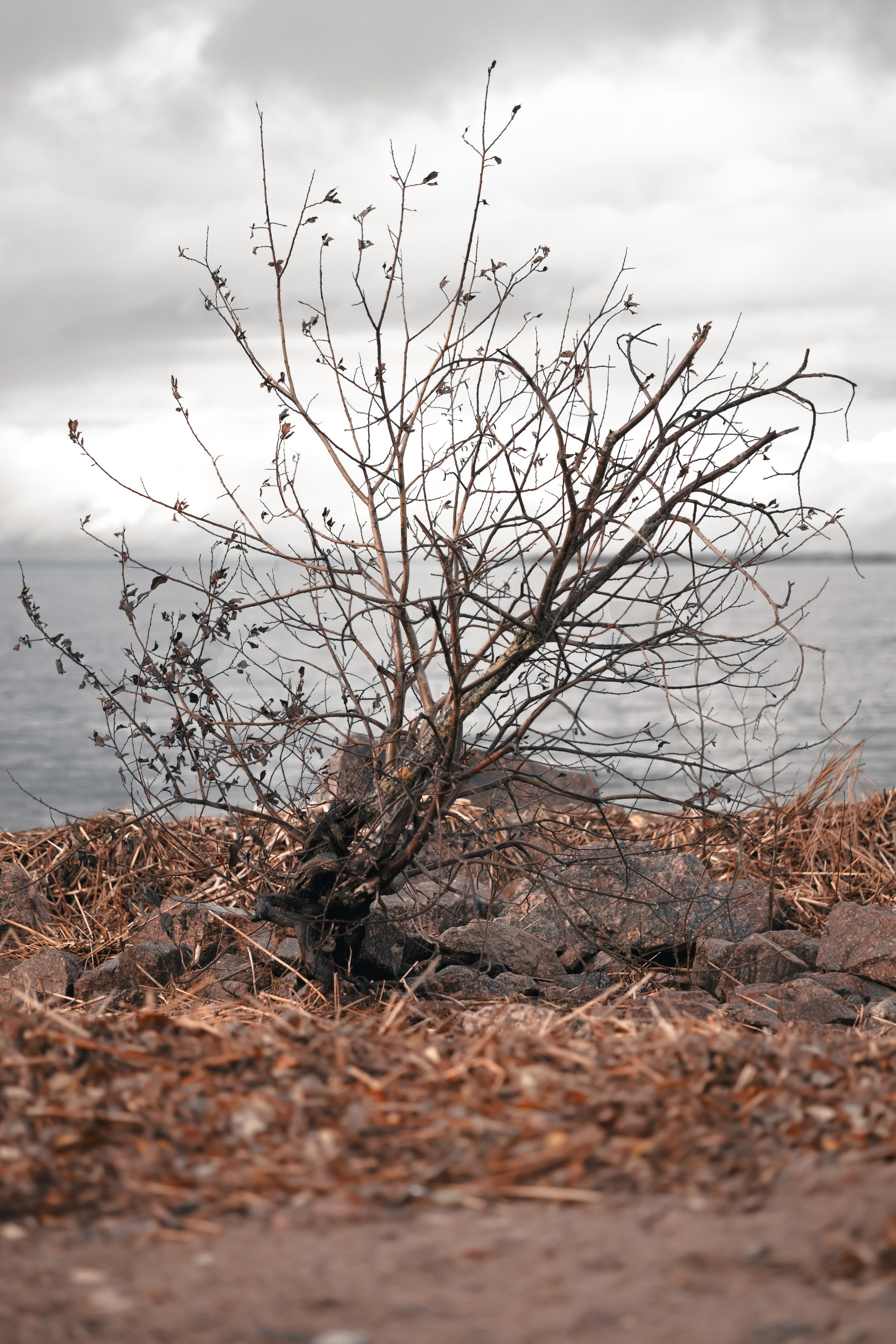 1-й Северный форт Кронштадт
