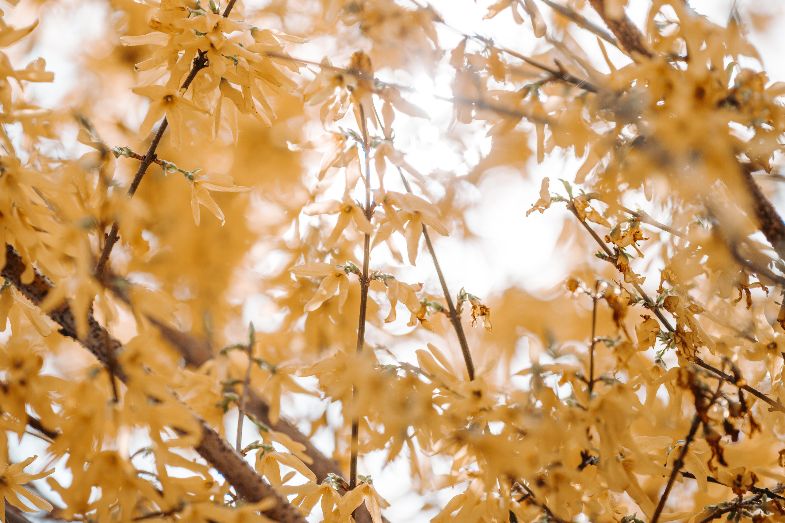 Street и путешествия