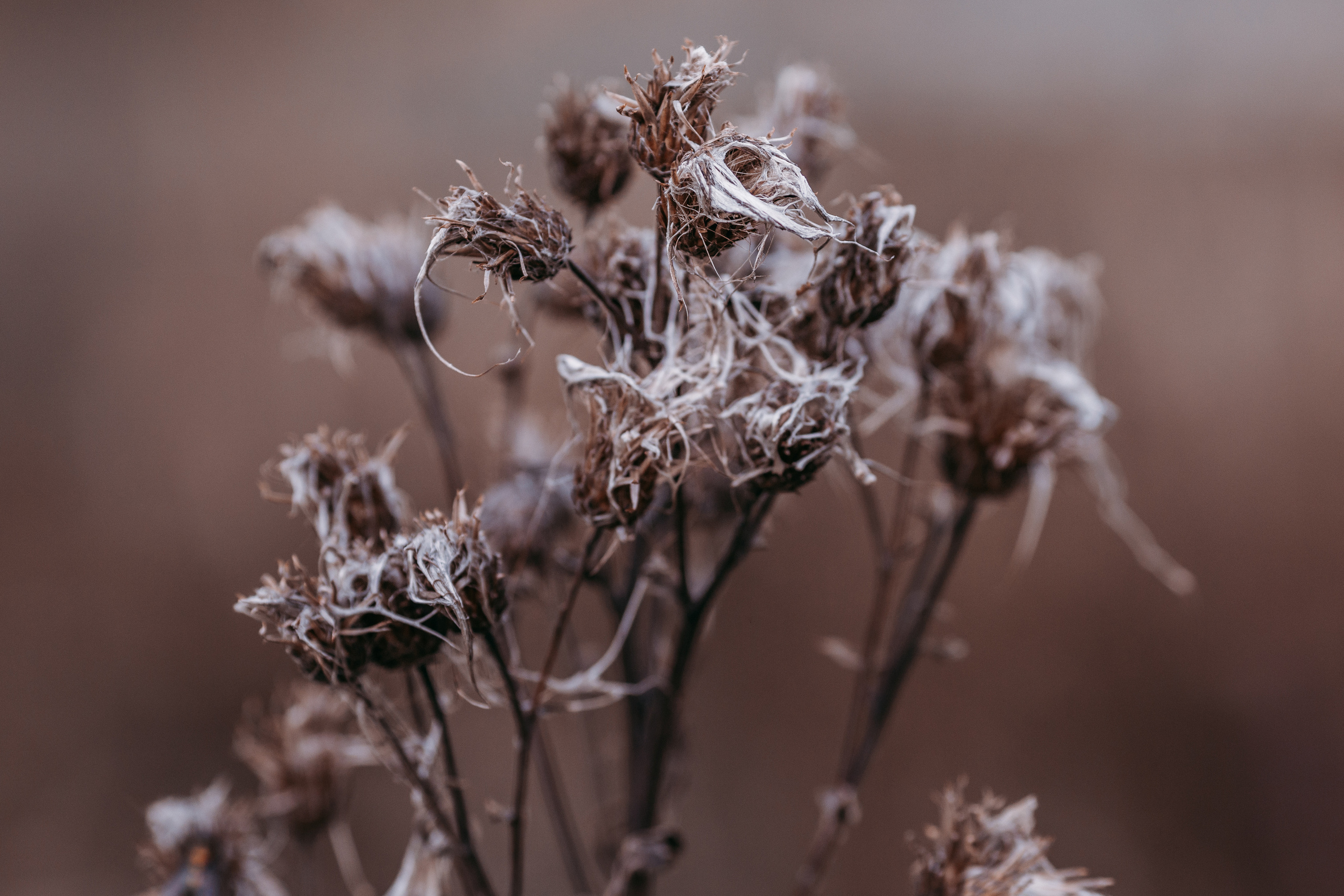 Street и путешествия