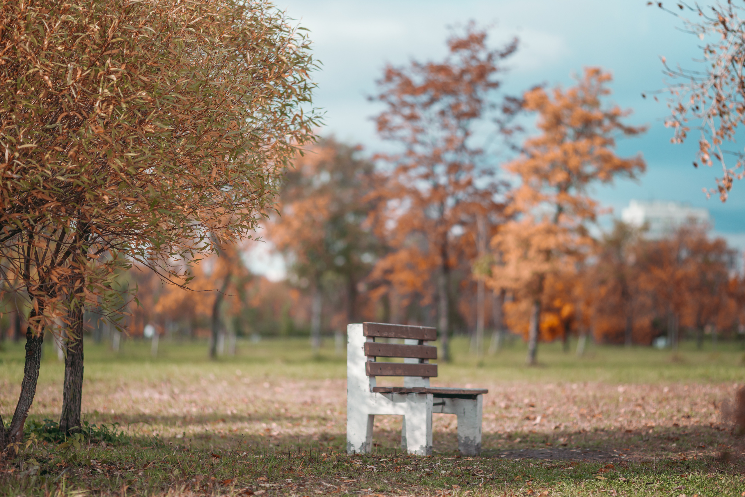 Street и путешествия