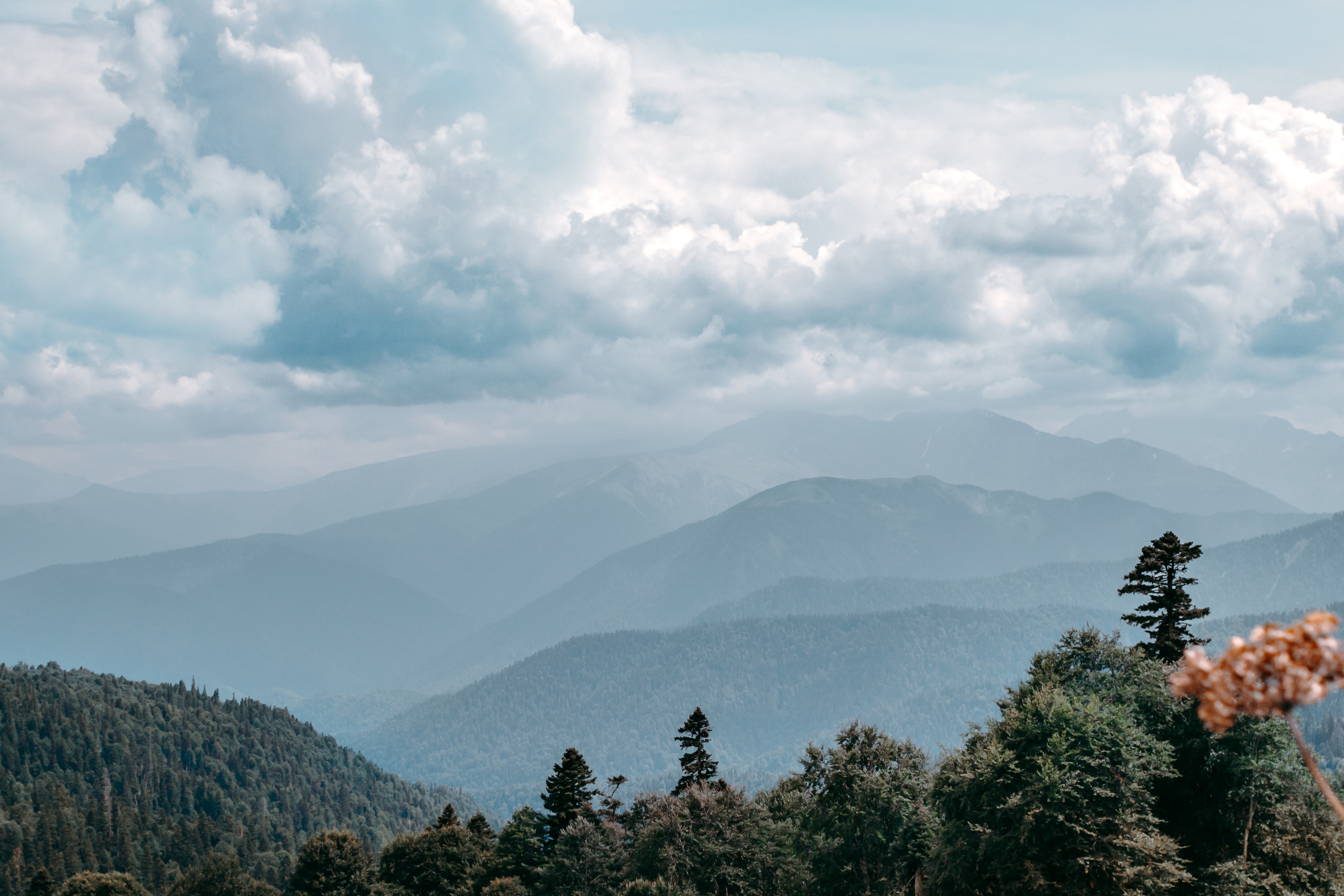 Street и путешествия