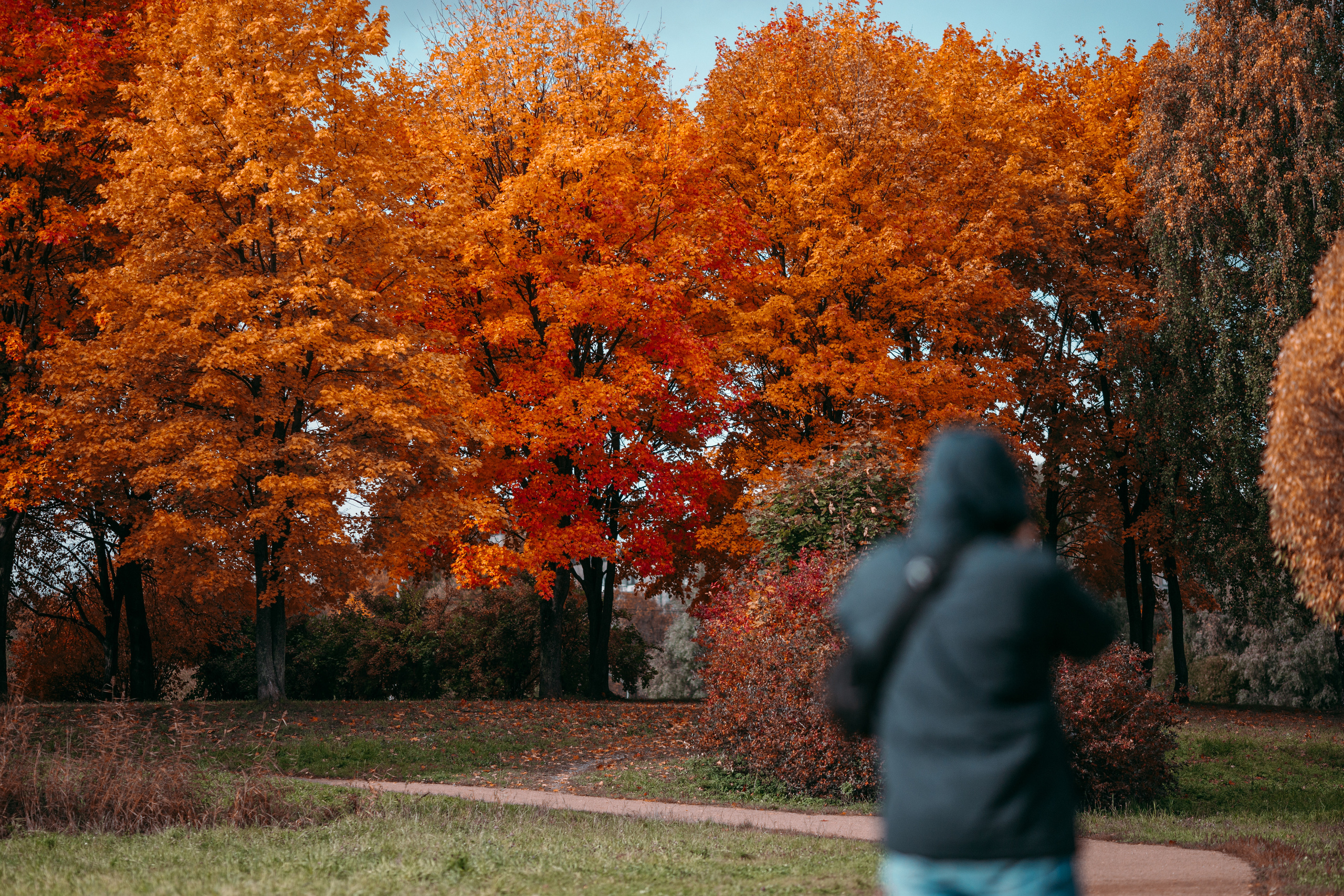 Street и путешествия