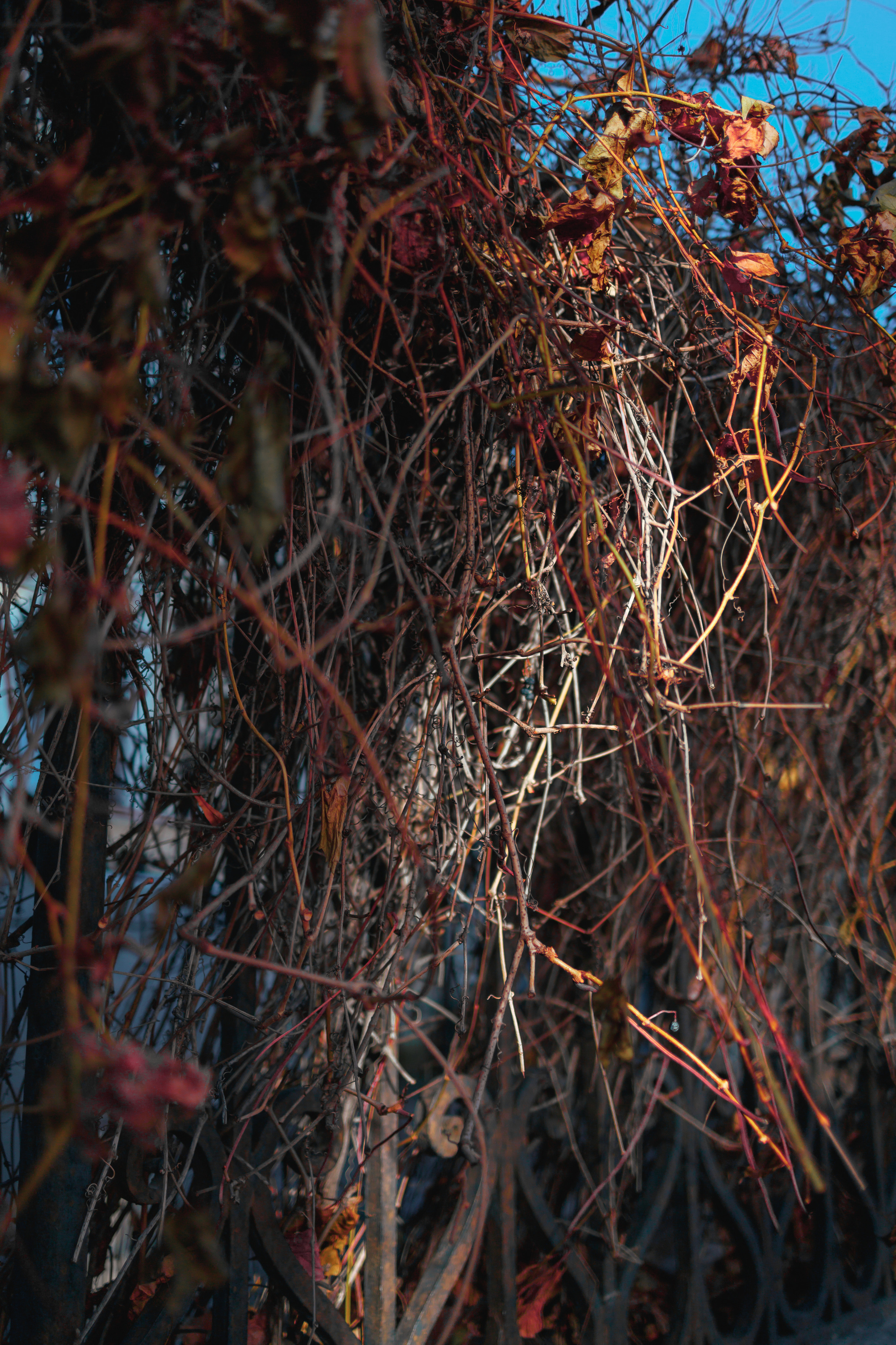 Street и путешествия