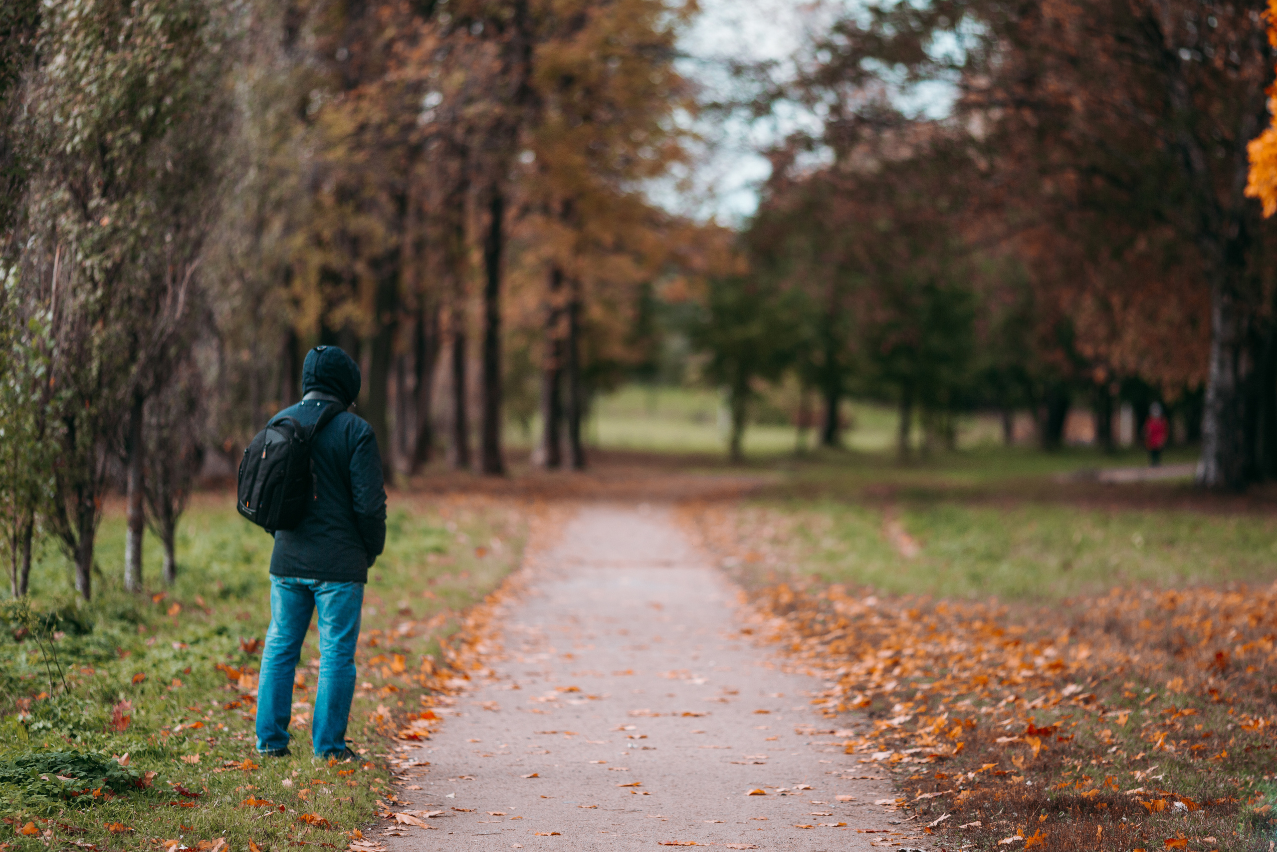 Street и путешествия
