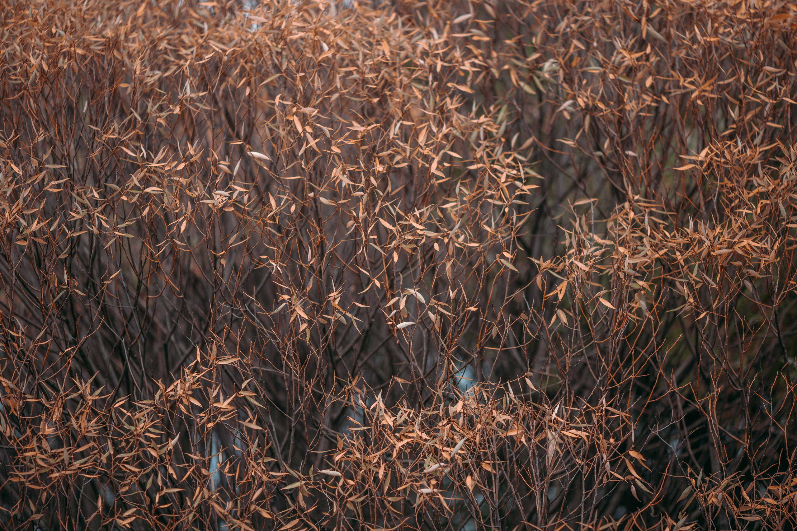 Street и путешествия