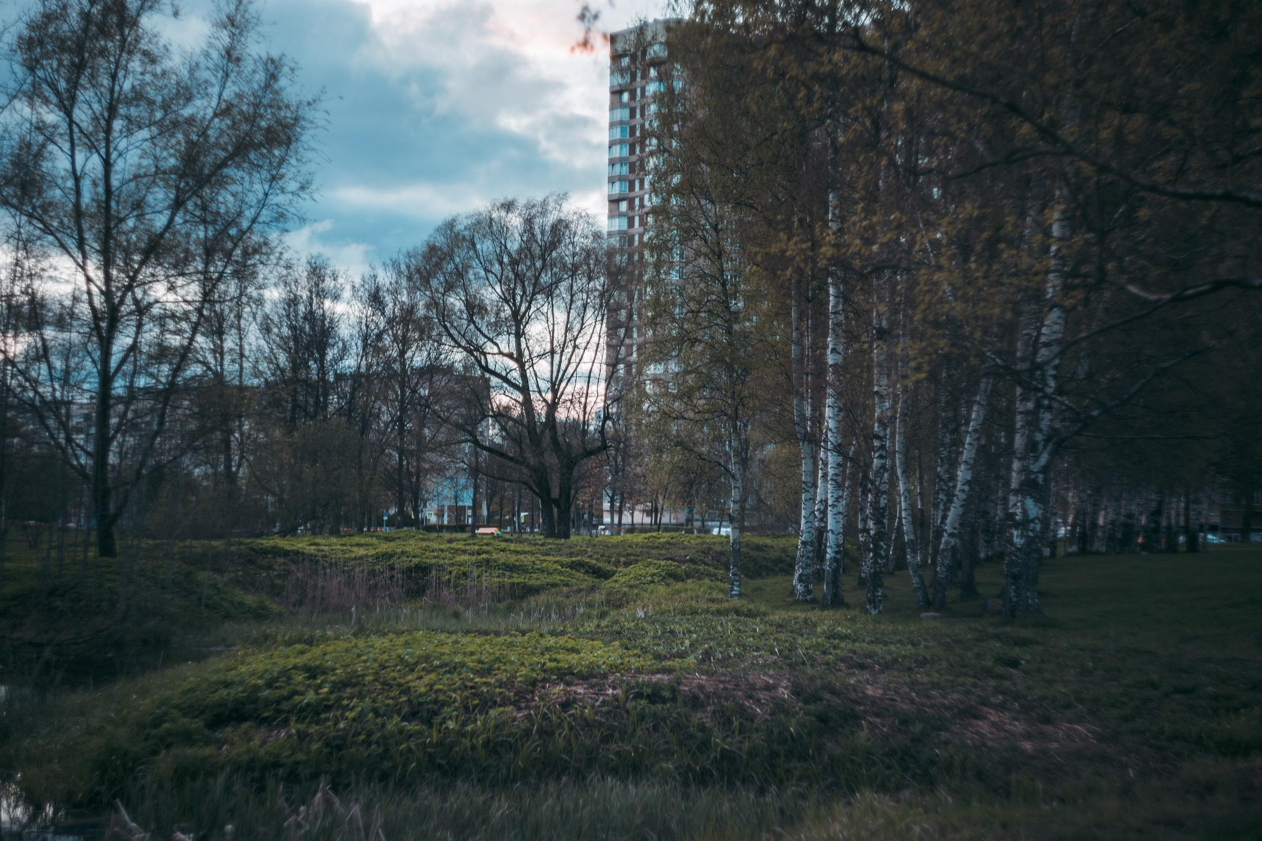 Street и путешествия
