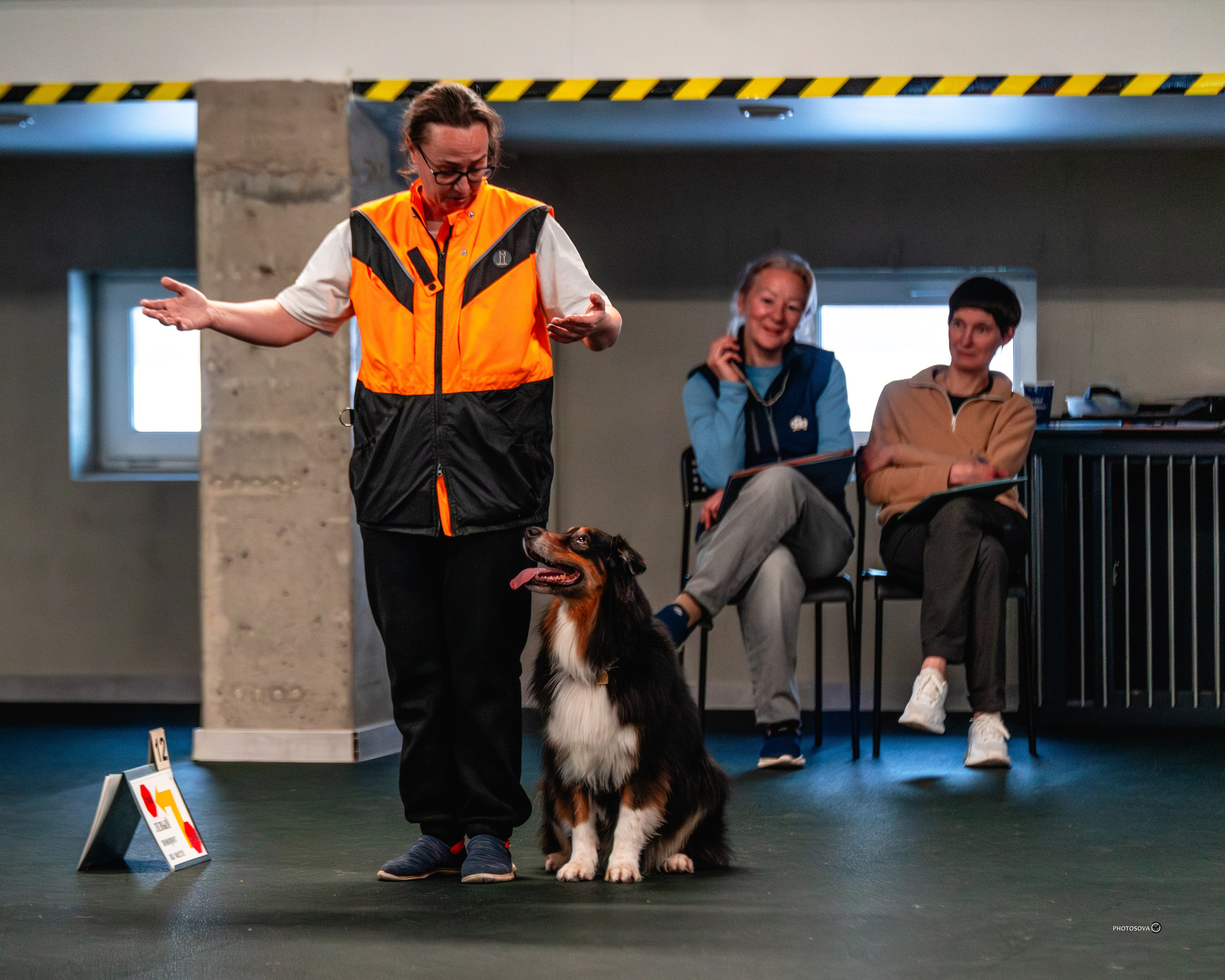 ТЫ И Я (соревнования по ралли-обидиенс). Фотограф-анималист, семейный фотограф в Москве и Подмосковье. Фотосъёмка кинологических дисциплин