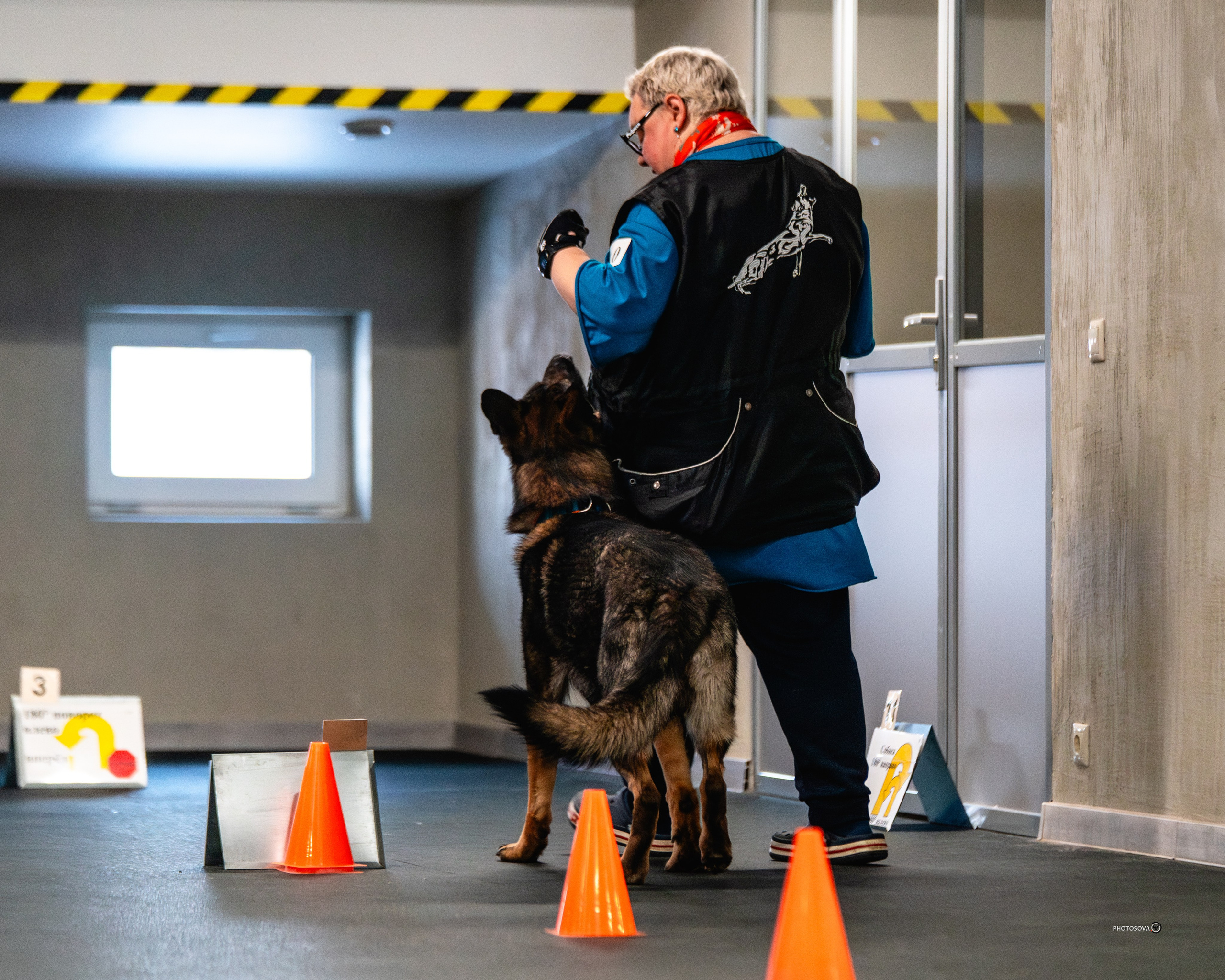 ТЫ И Я (соревнования по ралли-обидиенс). Фотограф-анималист, семейный фотограф в Москве и Подмосковье. Фотосъёмка кинологических дисциплин