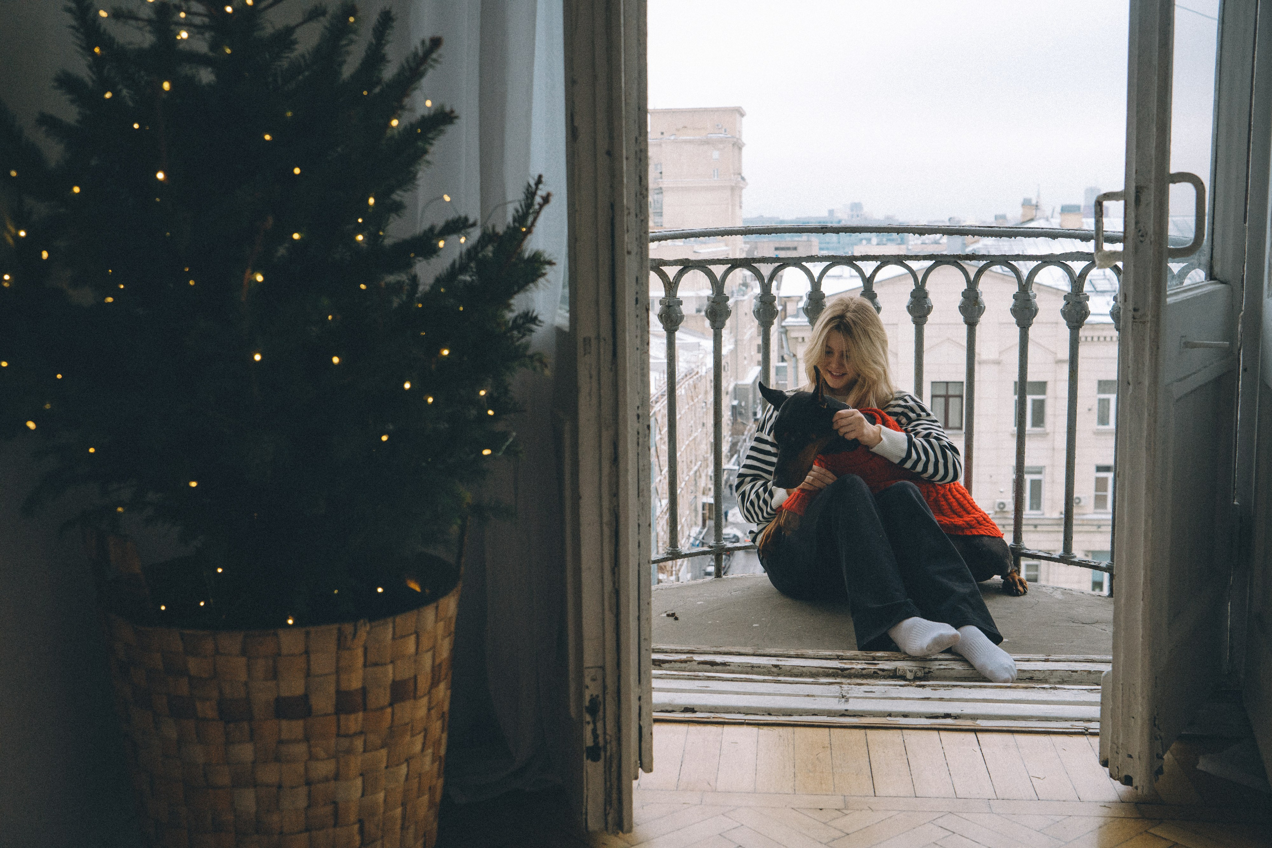 Саша и Асти. Фотограф анималист в Москве и Санкт-Петербурге Свиридова Анна
