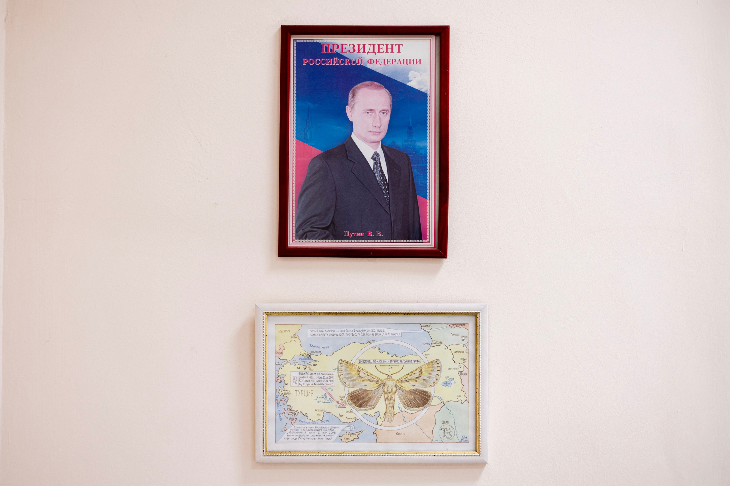 Зоя Ивановна Тюмасева. Профессор, преподаватель русского языка и литературы, энтомолог. Репортажный фотограф Наталья Лапцевич