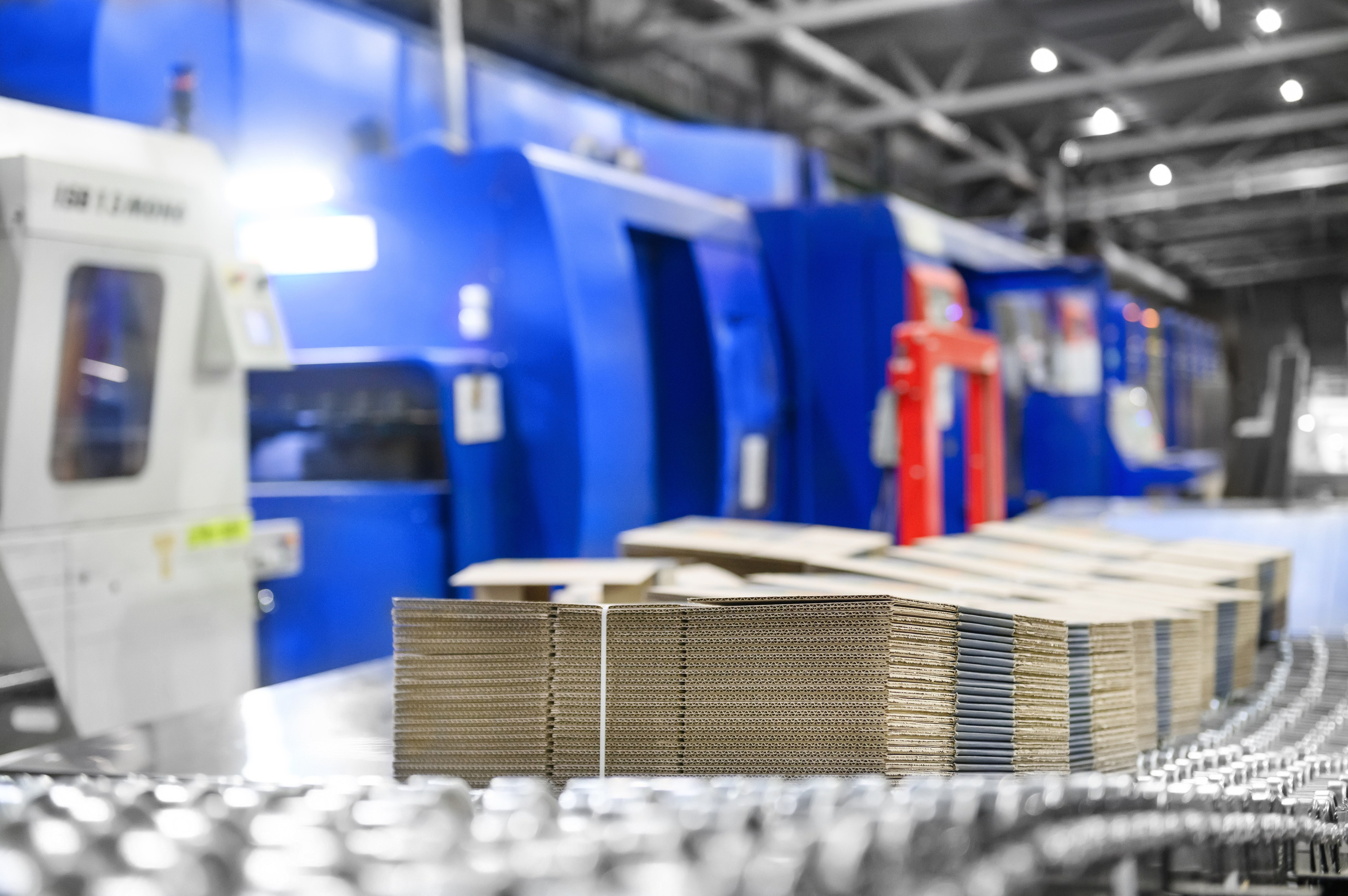 Проекты. Профессиональный фотограф Вячеслав Плацында | Липецк |