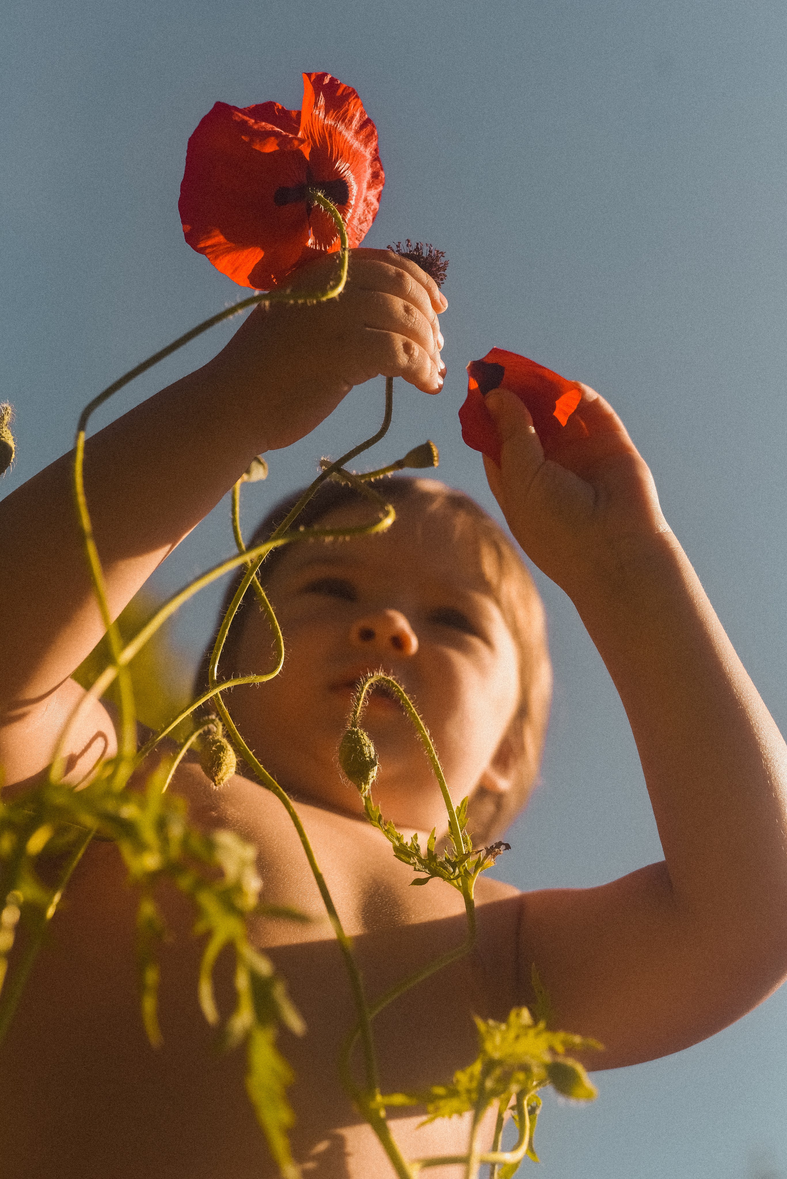 Мои дети. Детский и семейный фотограф в Новосибирске Саша Дорошенко