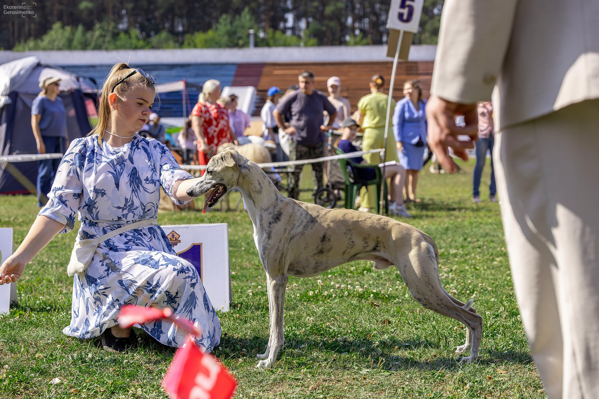 2–3 августа 2025, Выставка РКФ, г. Пермь. Htykk_photo