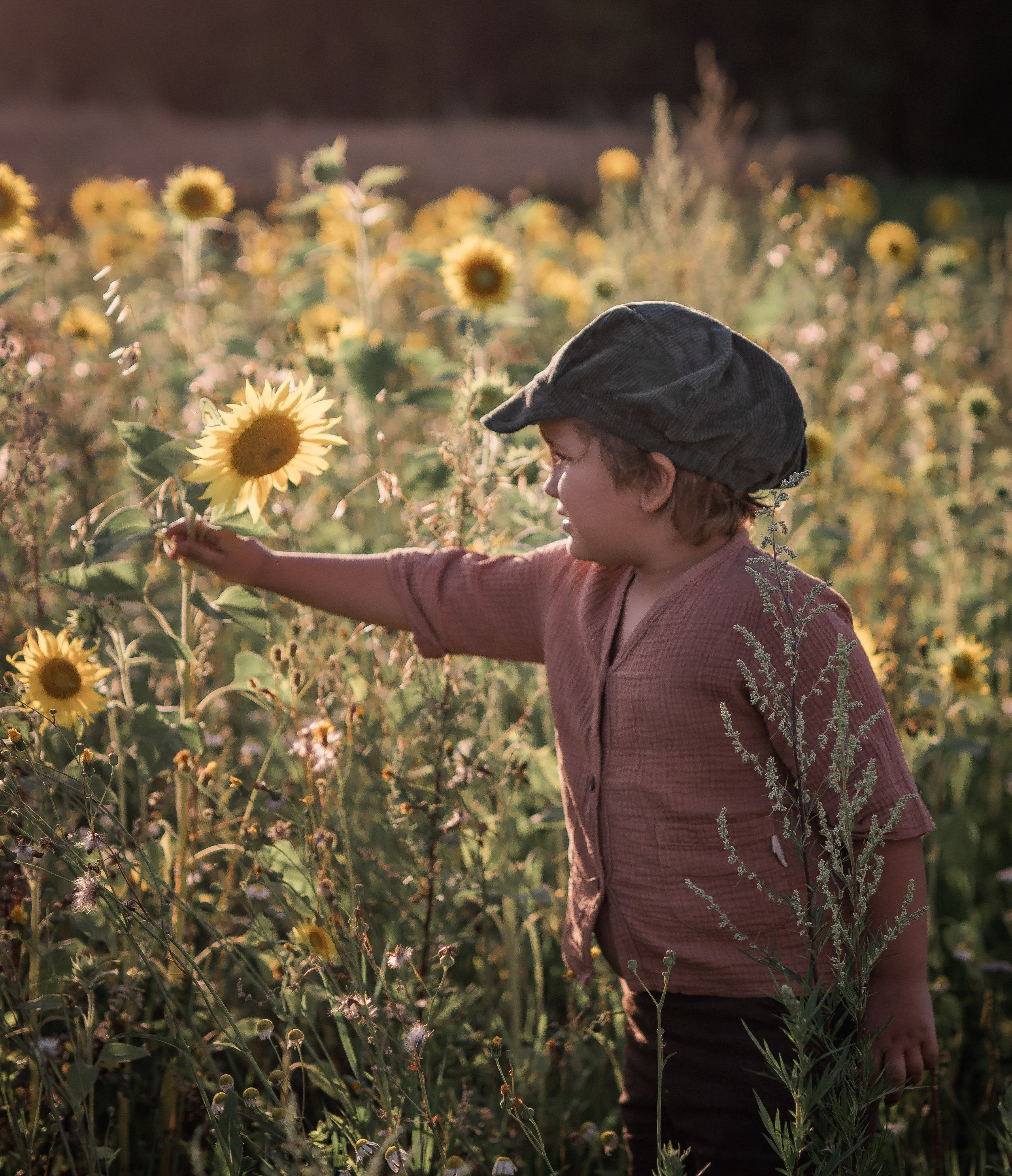 Прогулка с подсолнухами. Семейный фотограф Ефремова Виктория