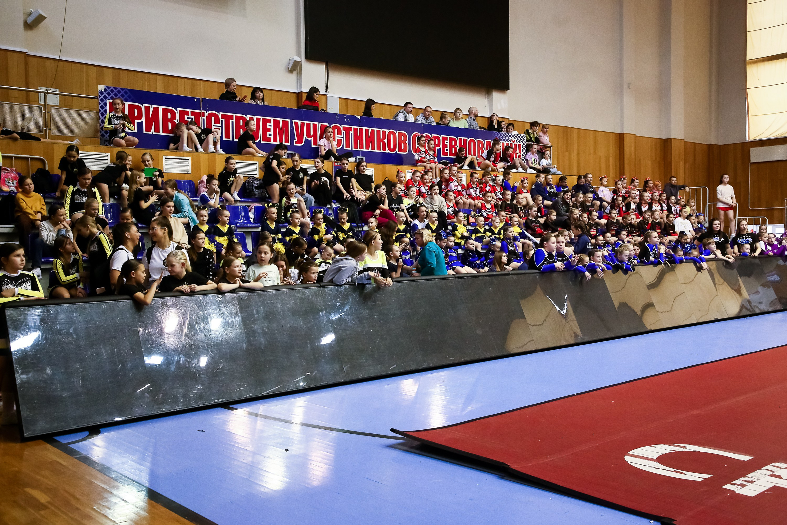 ЧЕМПИОНАТ И ПЕРВЕНСТВО ЧЕЛЯБИНСКОЙ ОБЛАСТИ ПО ЧИР СПОРТУ — 2023 г