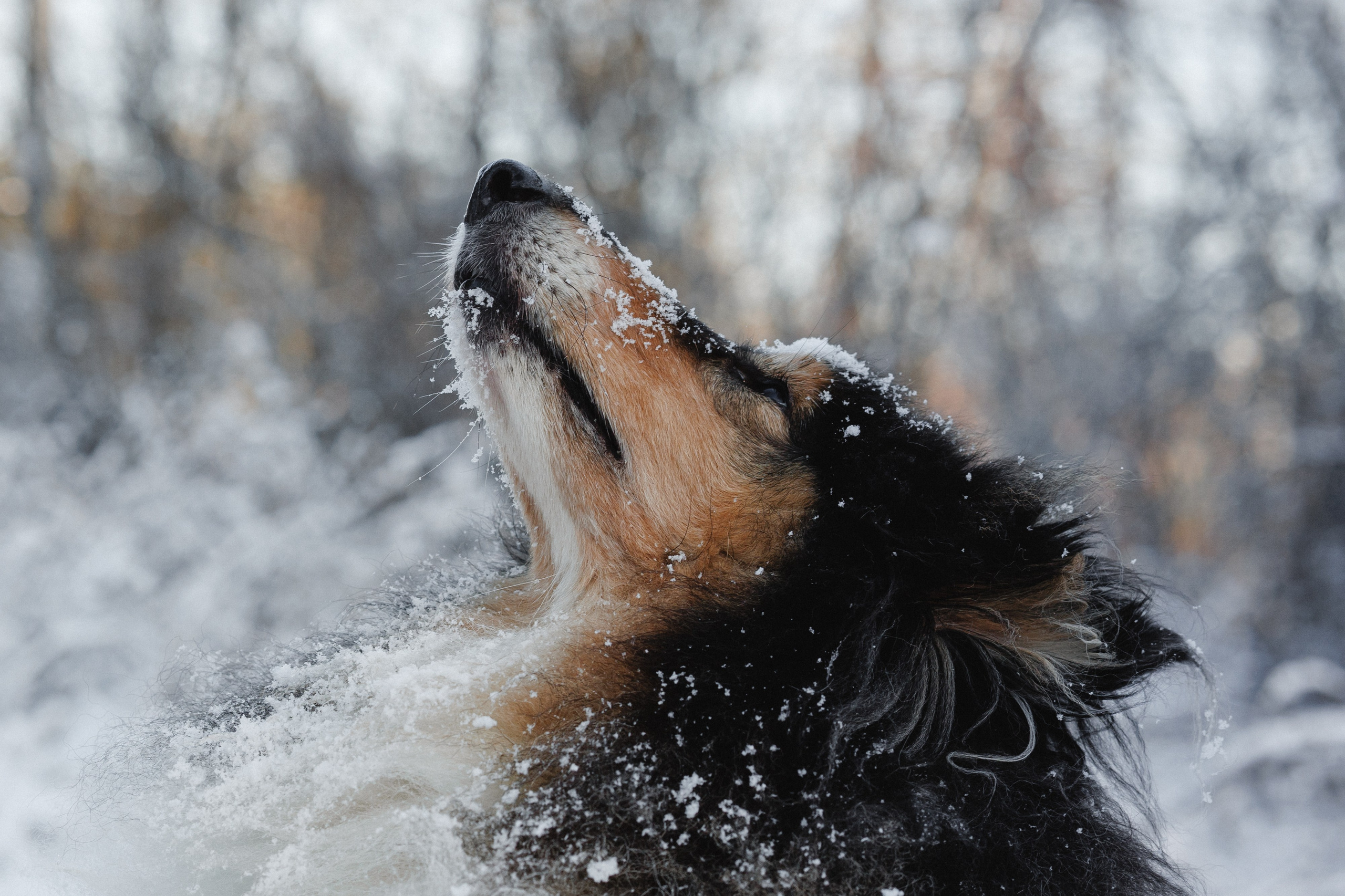 Дарья и Зора. Фотограф в Санкт-Петербурге Алёна Губинская
