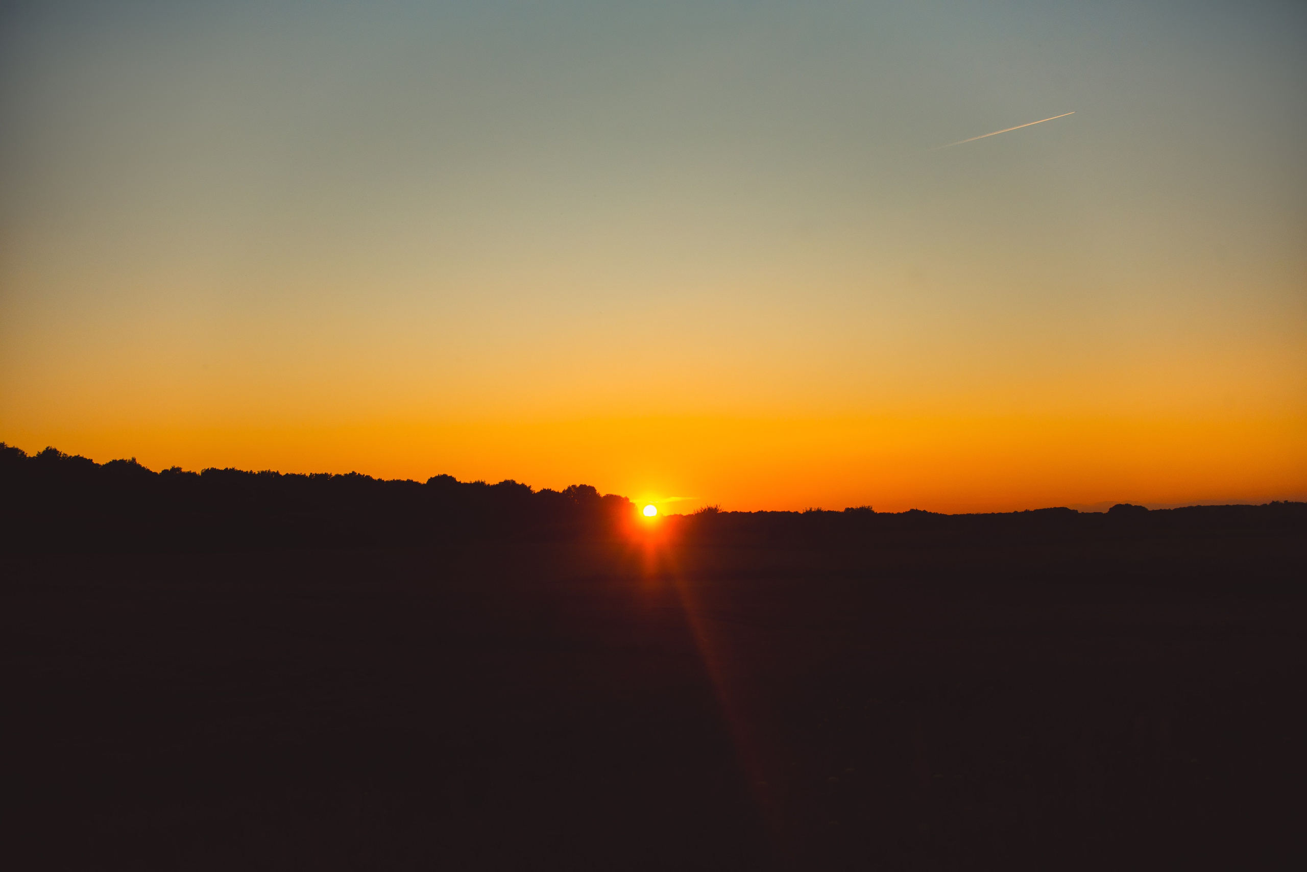 Наташа, Агата, Назар и Август — 17.07.2025. Фотограф — Анималист | Анна Абрамова