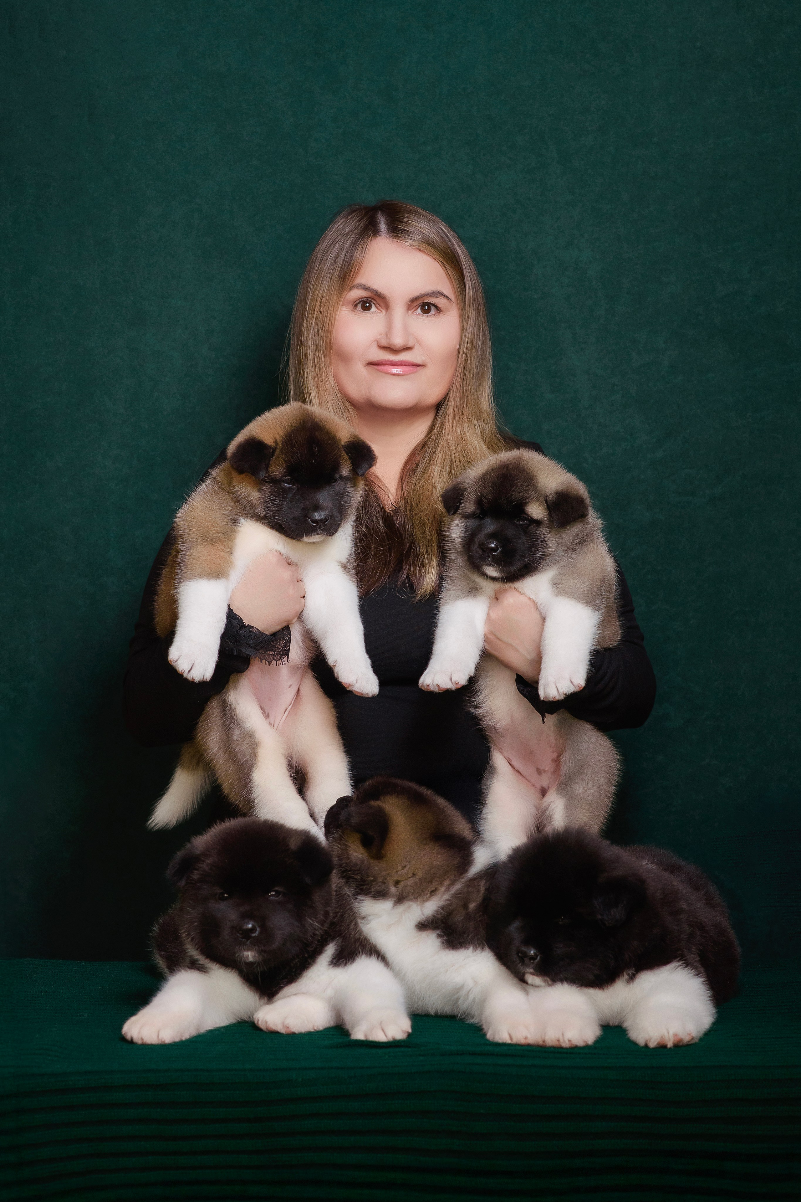 Щенки Американской Акиты. Фотограф — Анималист | Анна Абрамова